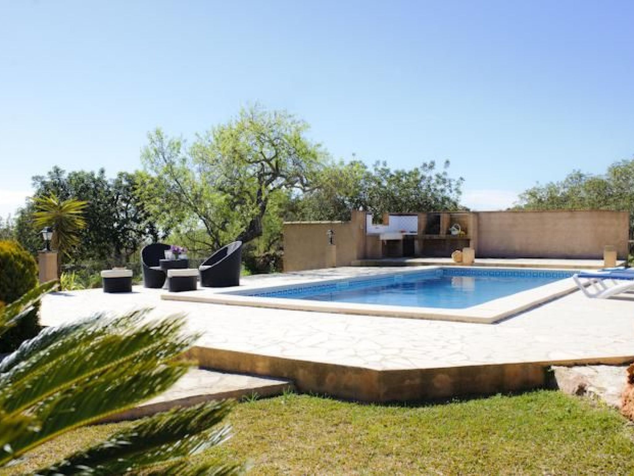 Alou-Image-tags.info