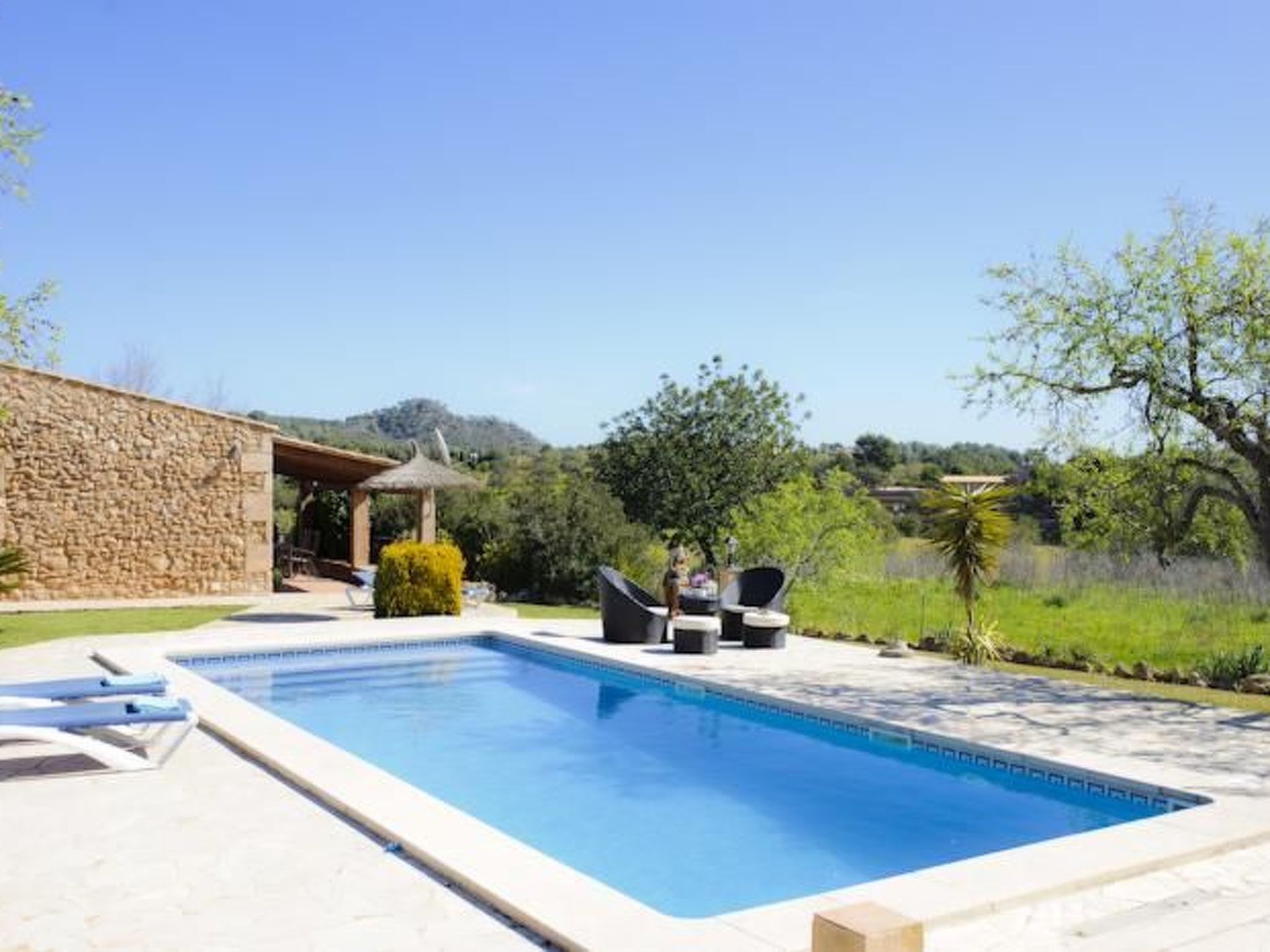 Alou-Image-tags.info