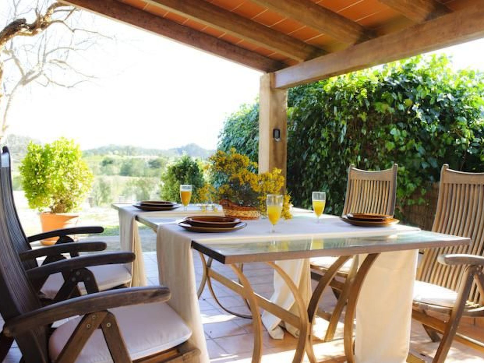 Alou-Image-tags.info