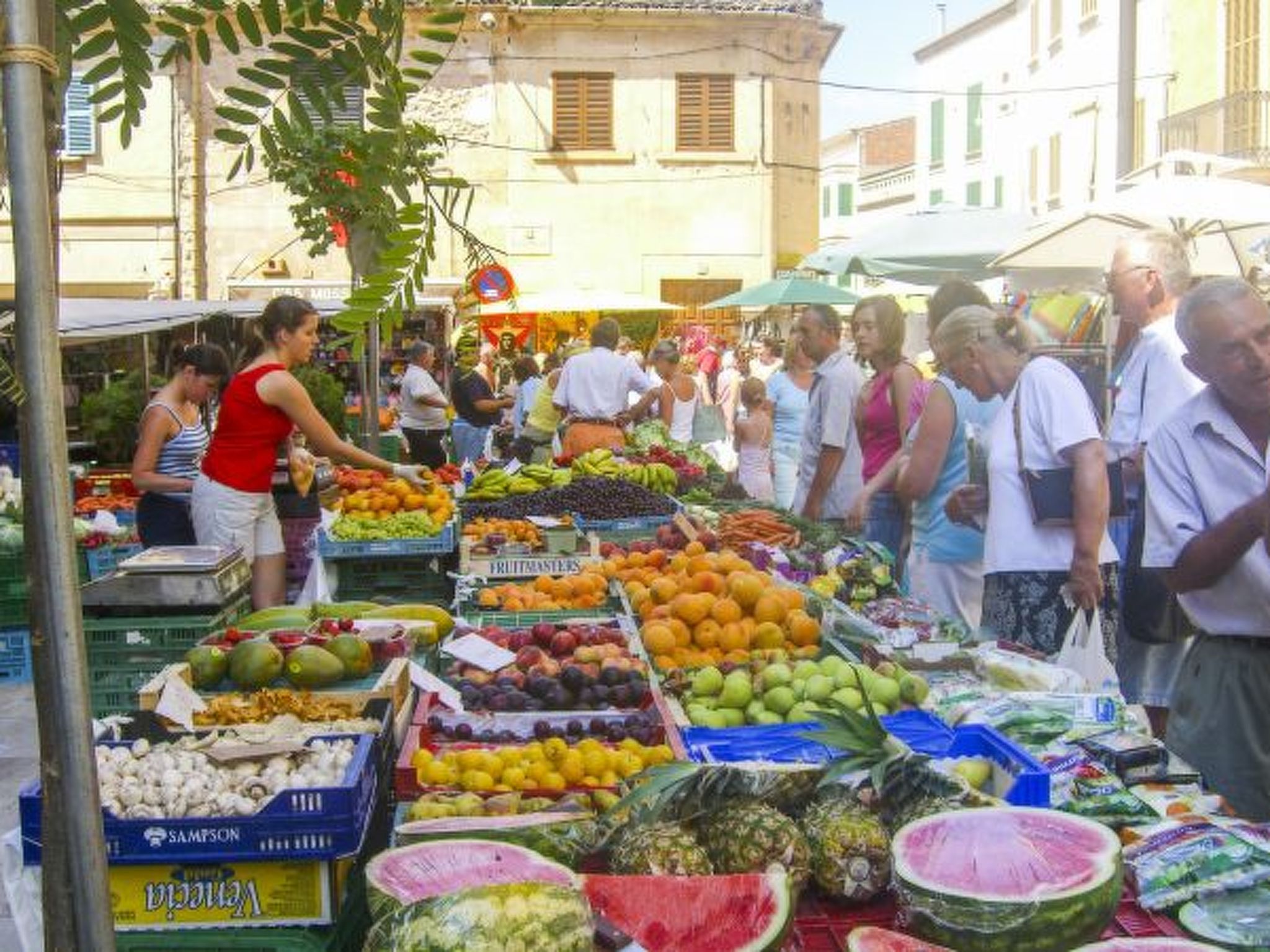 Apartment Buena Vista - Image-tags.info