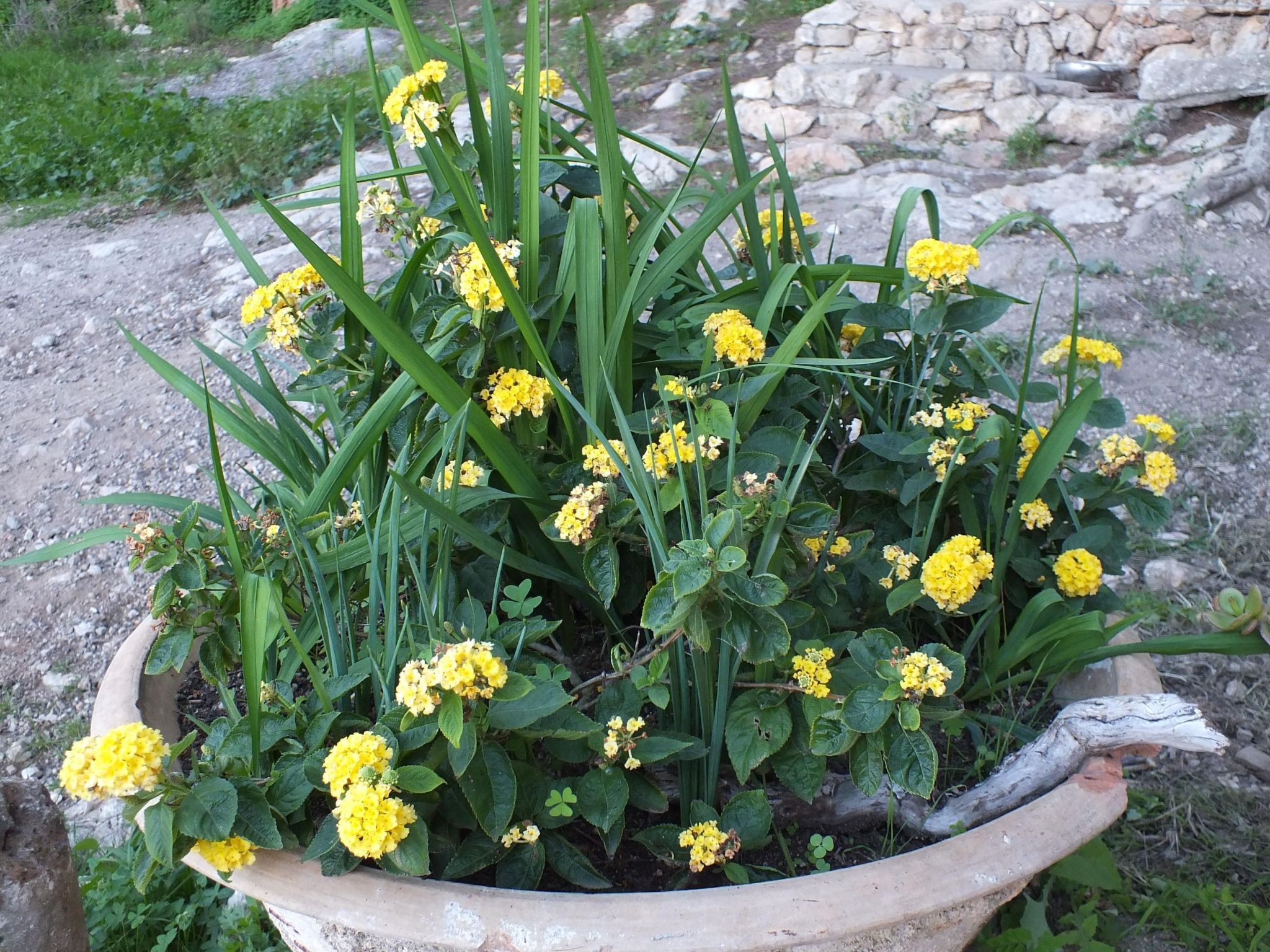 Finca Es Cau, mit Schwimmbad, Meerblick und Wifi-Image-tags.info