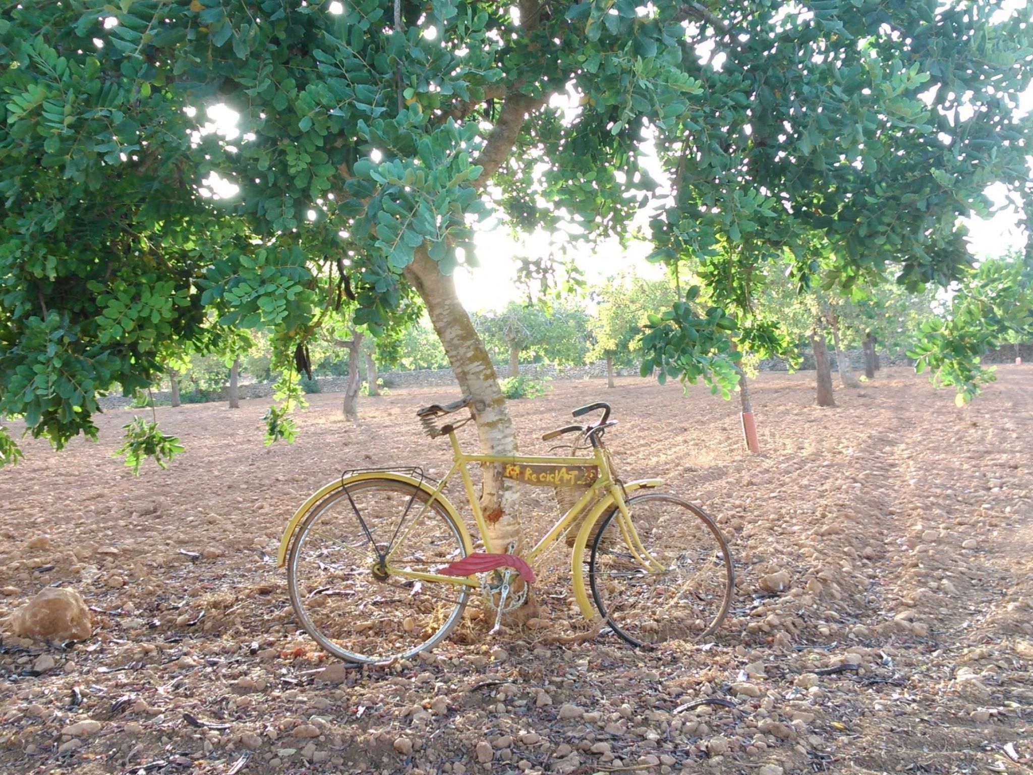 Finca Es Cau, mit Schwimmbad, Meerblick und Wifi-Image-tags.info