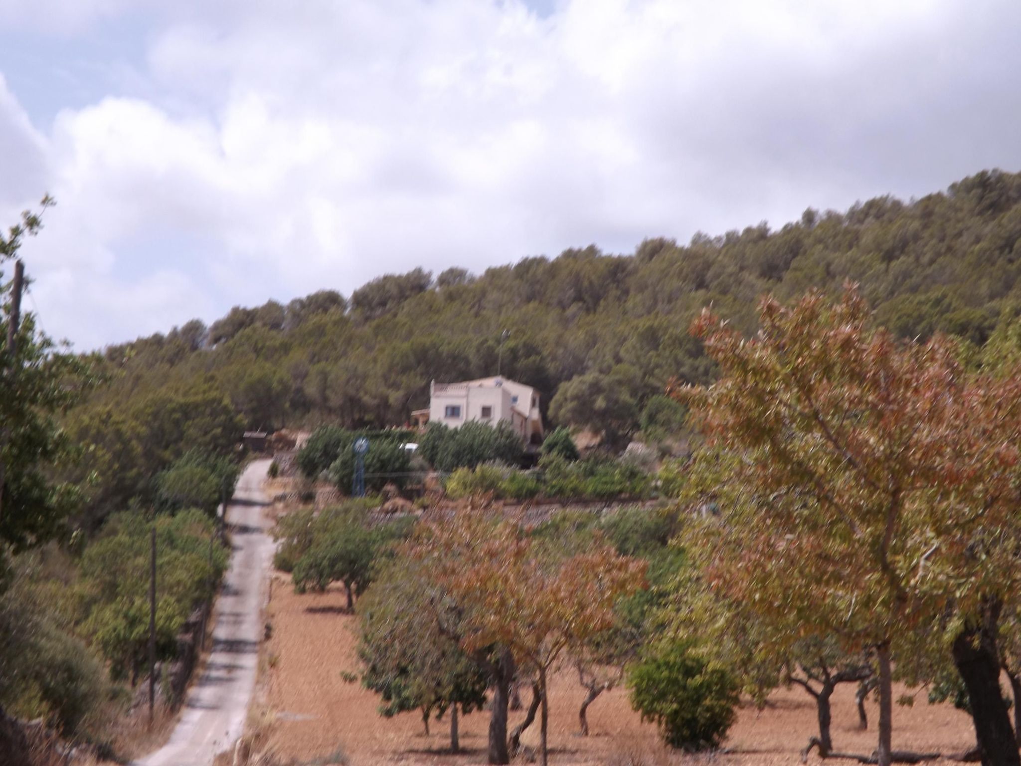 Finca Es Cau, mit Schwimmbad, Meerblick und Wifi-Image-tags.info