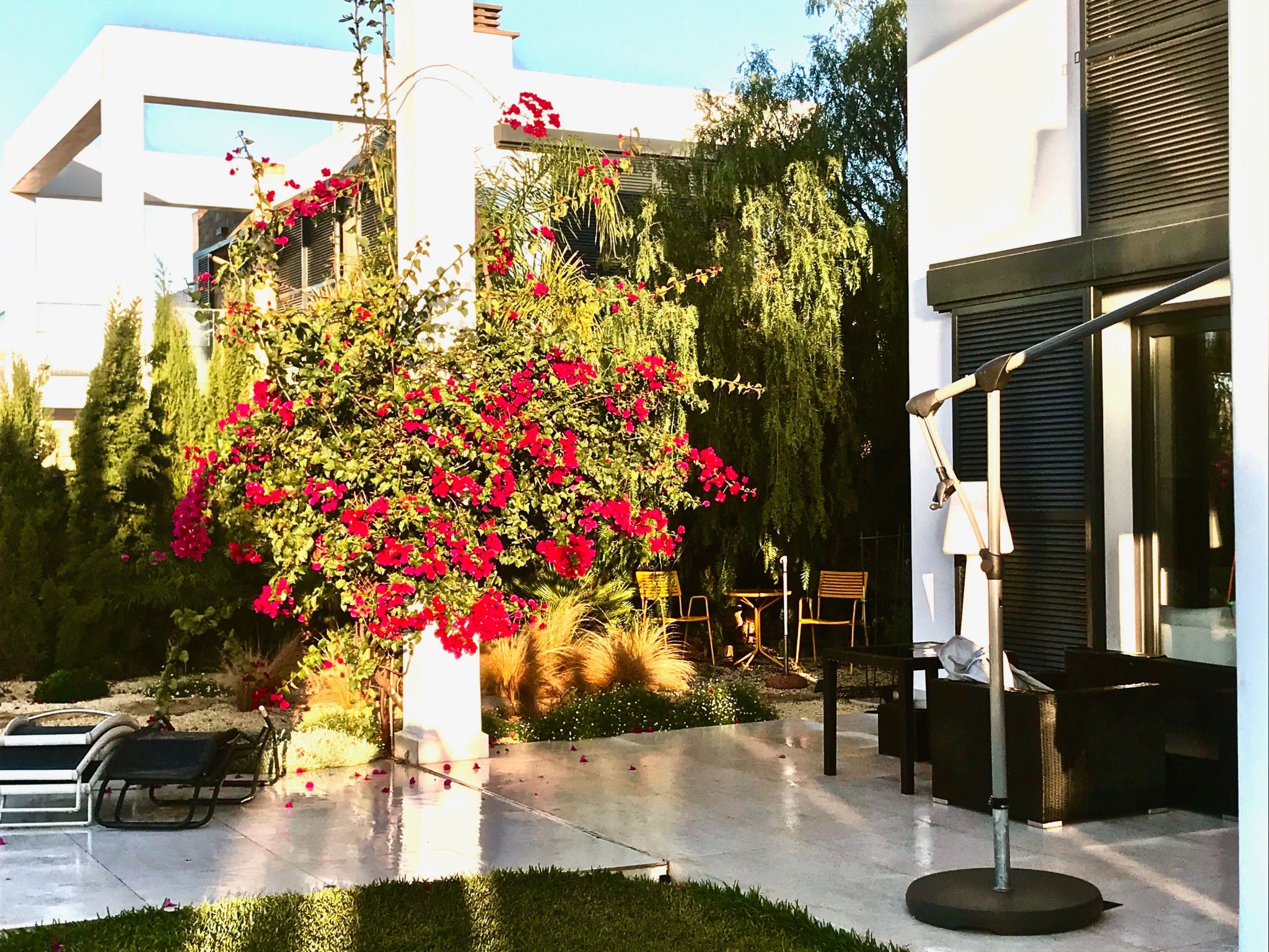 In Manacor mit Eigenem Pool-Image-tags.info