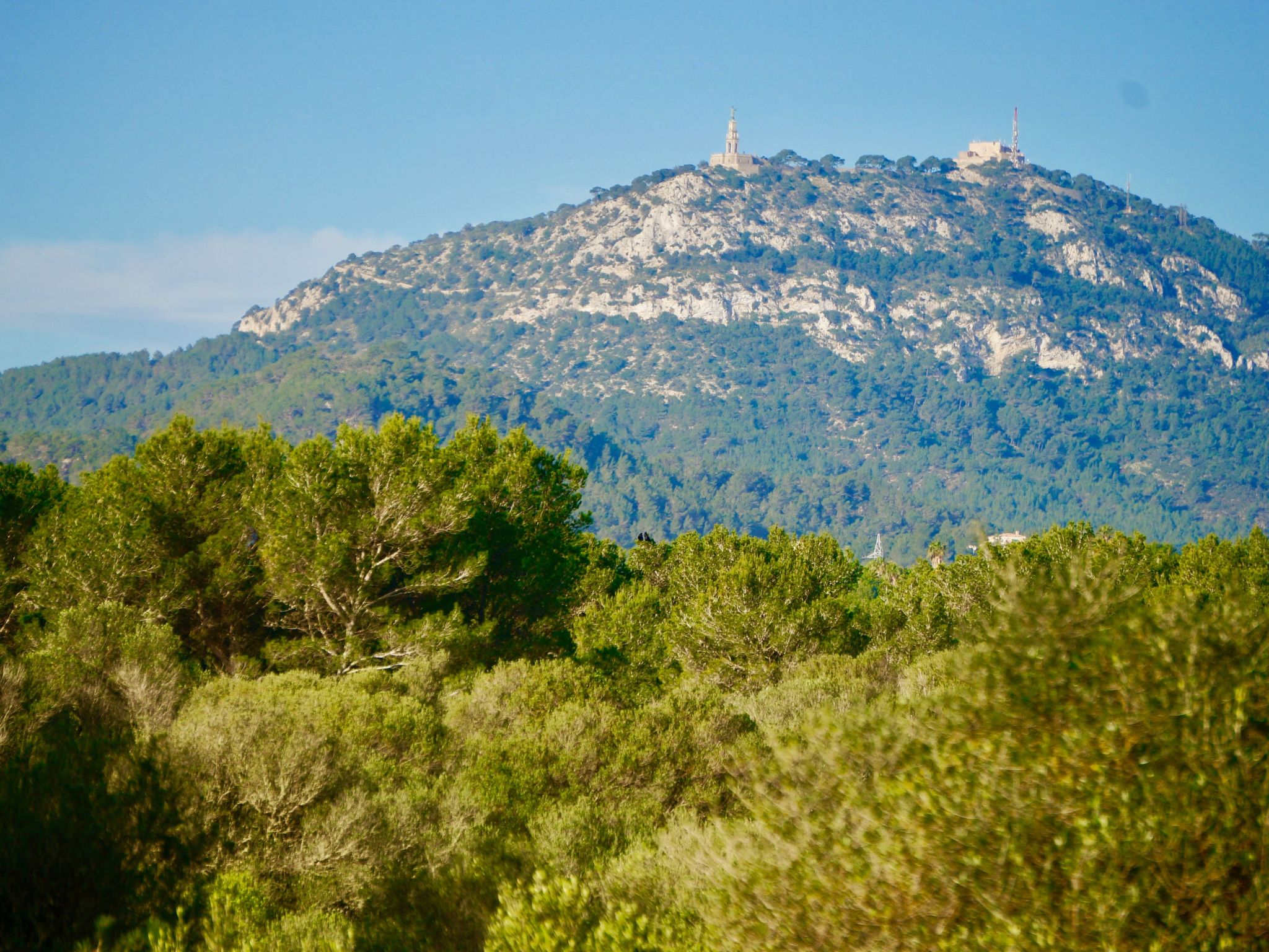 In Manacor mit Eigenem Pool-Image-tags.info