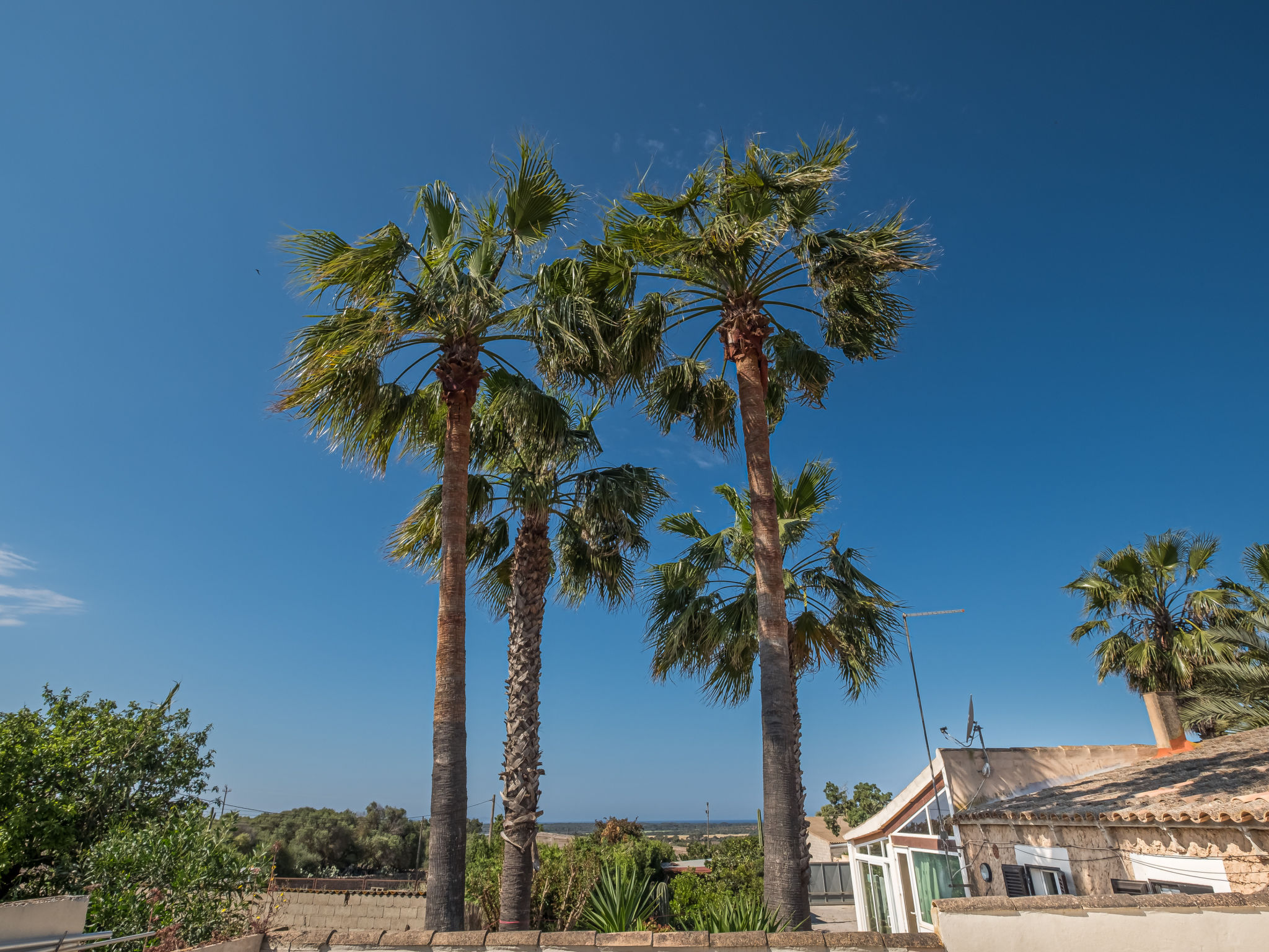 Maison Mare – Vue, photo 24 sur 25