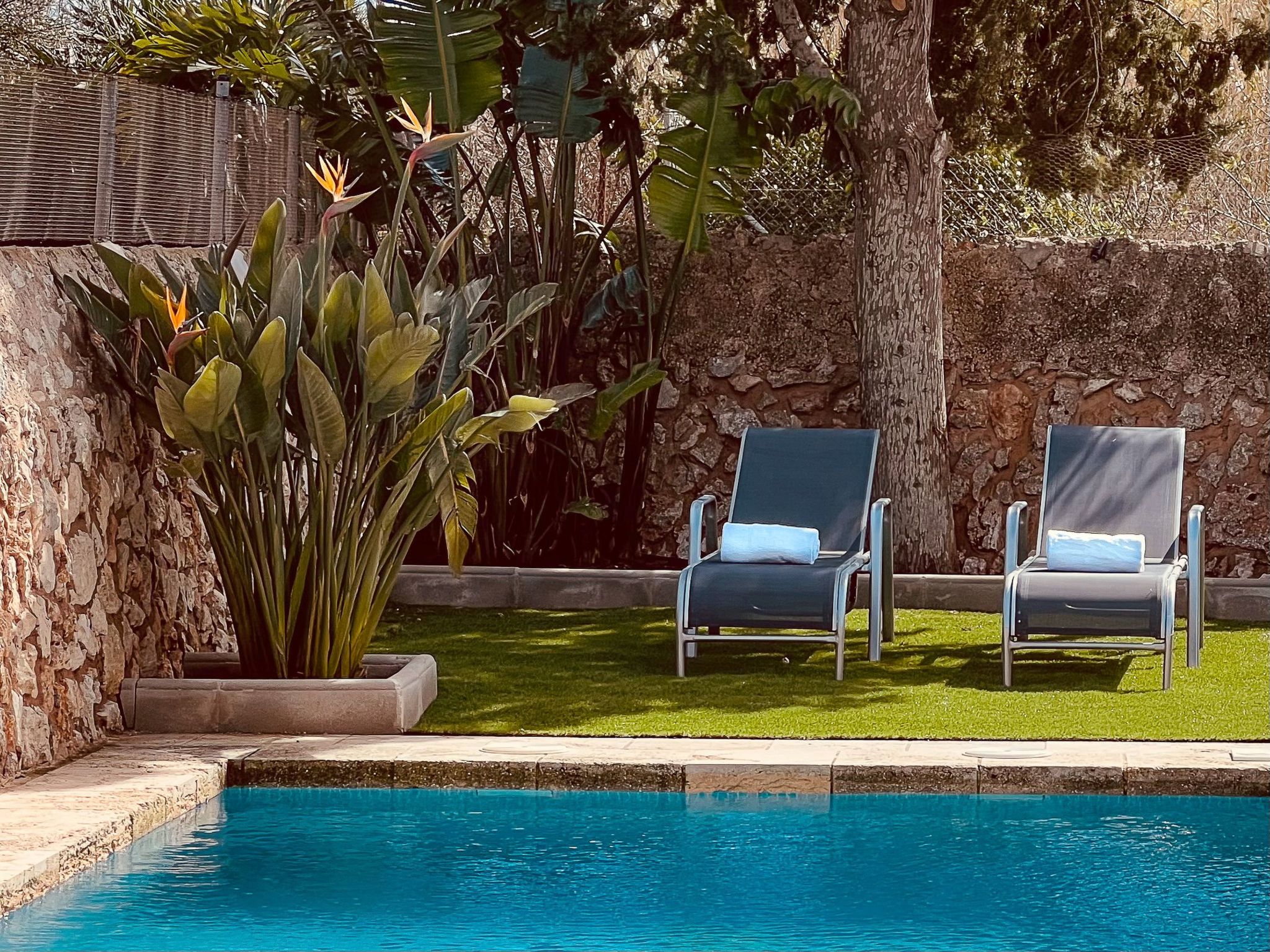 Petita des Llombards-Image-tags.info