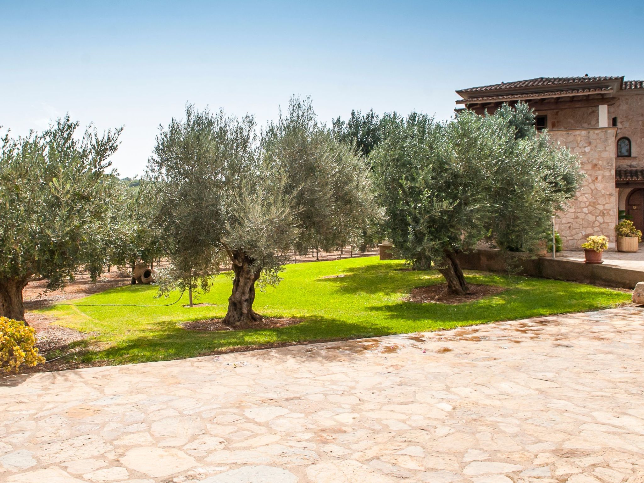 Aguilas-Image-tags.info