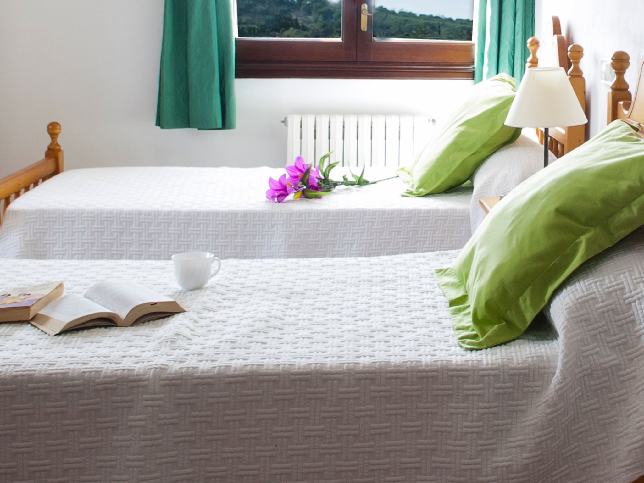 Aguilas-Image-tags.info