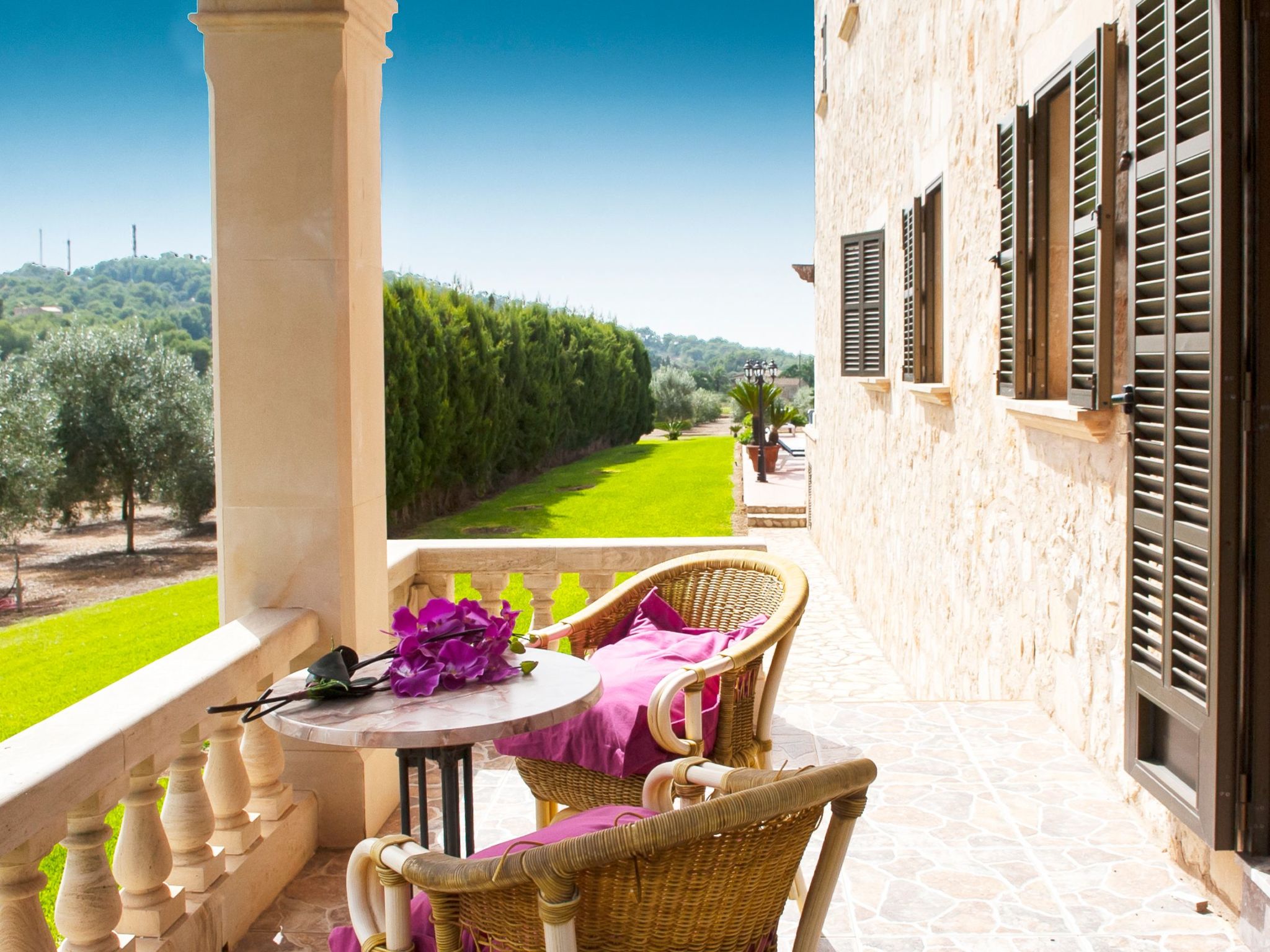 Aguilas-Image-tags.info