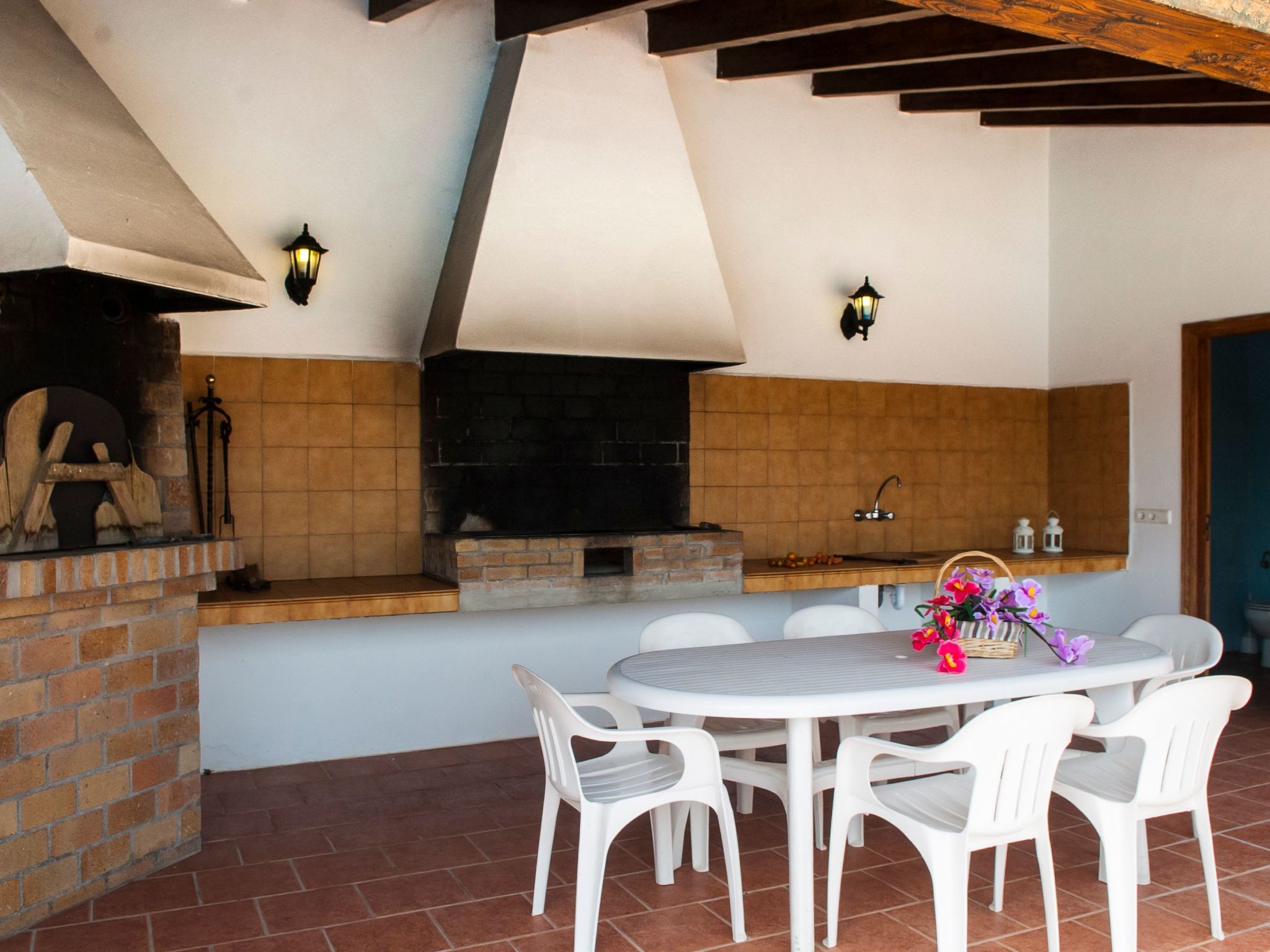 Aguilas-Image-tags.info