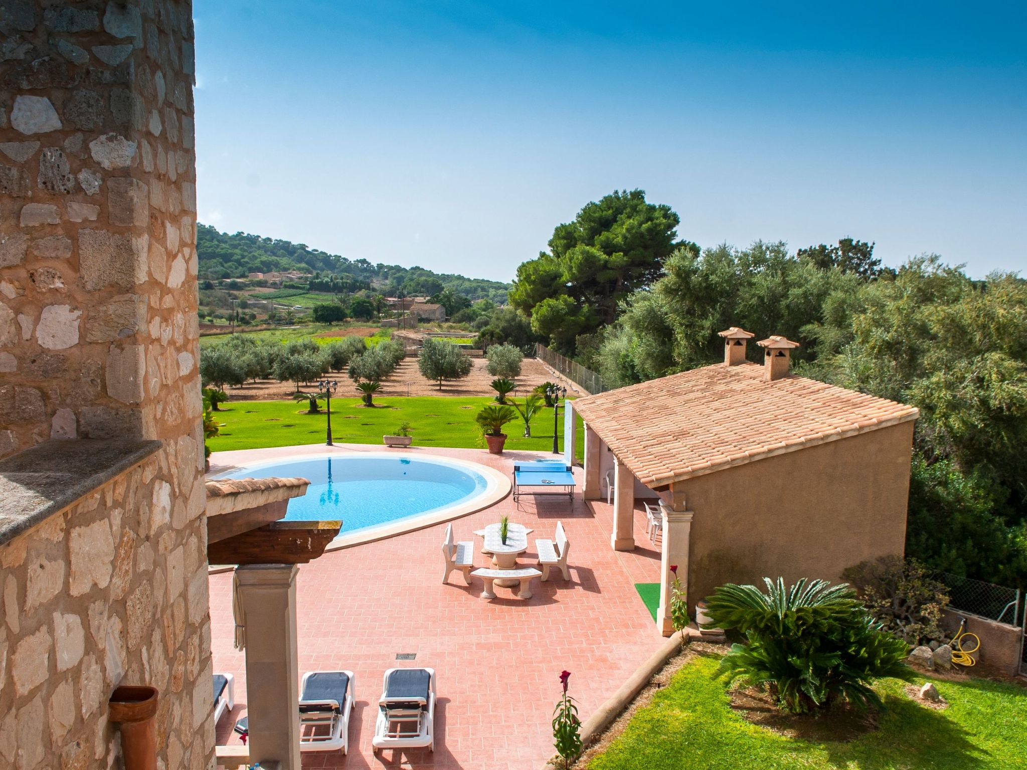 Aguilas-Image-tags.info