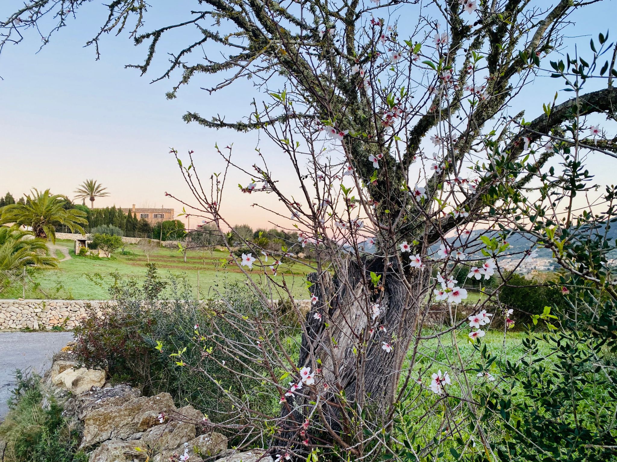 Adults Only Finca - Apartment zum entspannen-Dedans