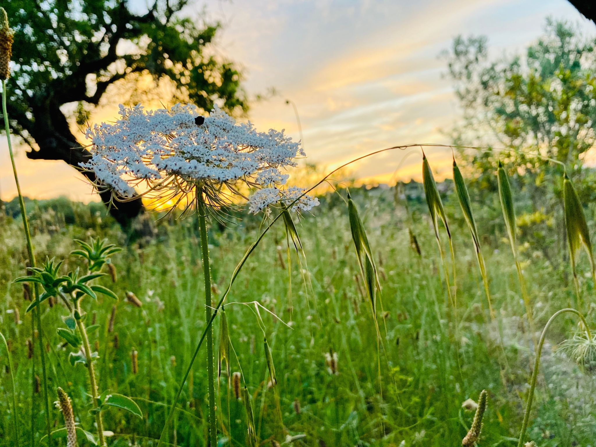 Adults Only Finca - Apartment zum entspannen-Dedans