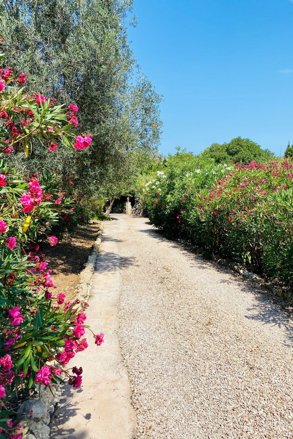 Adults Only Finca - Apartment zum entspannen-Dedans