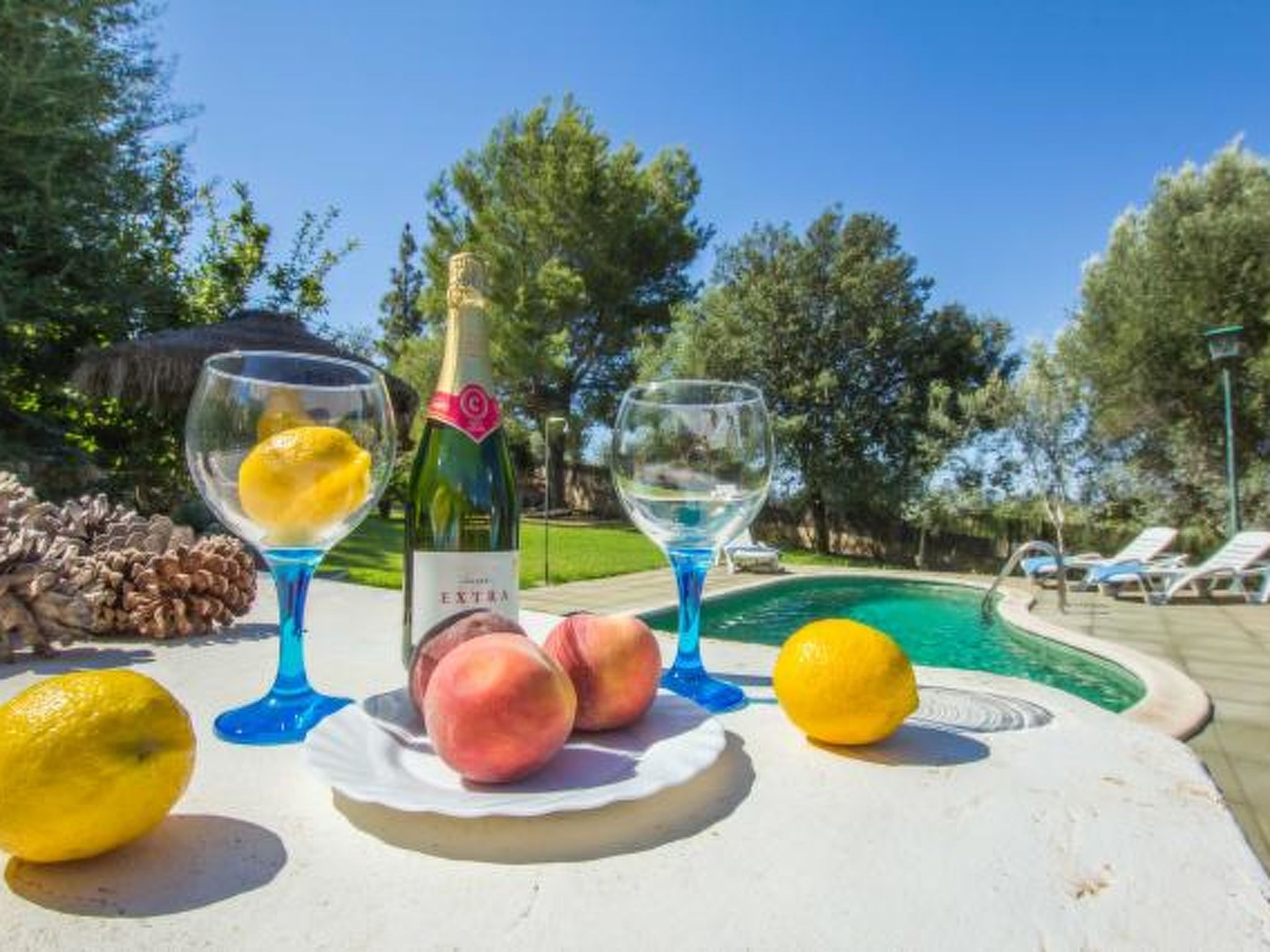 Casita — Pool Outdoor (2 of 64)