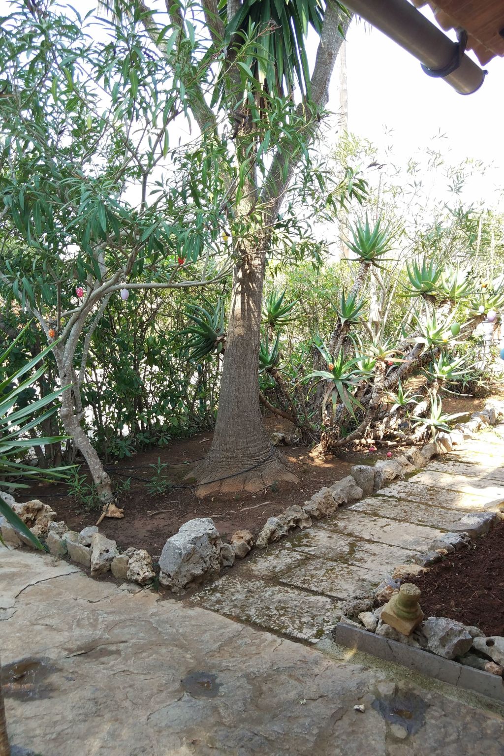 In Porto Cristo Novo mit Garten