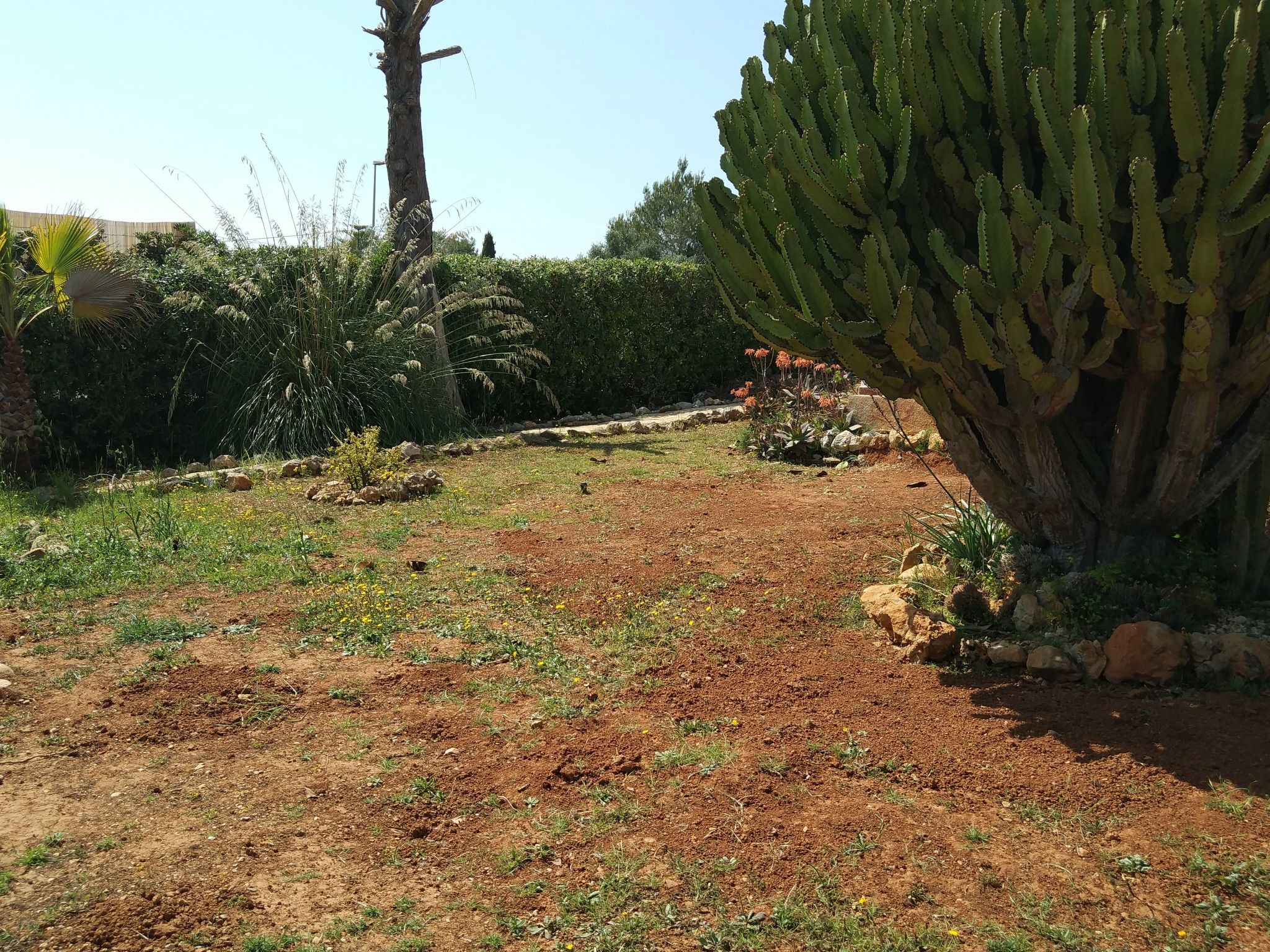 In Porto Cristo Novo mit Garten-Image-tags.info