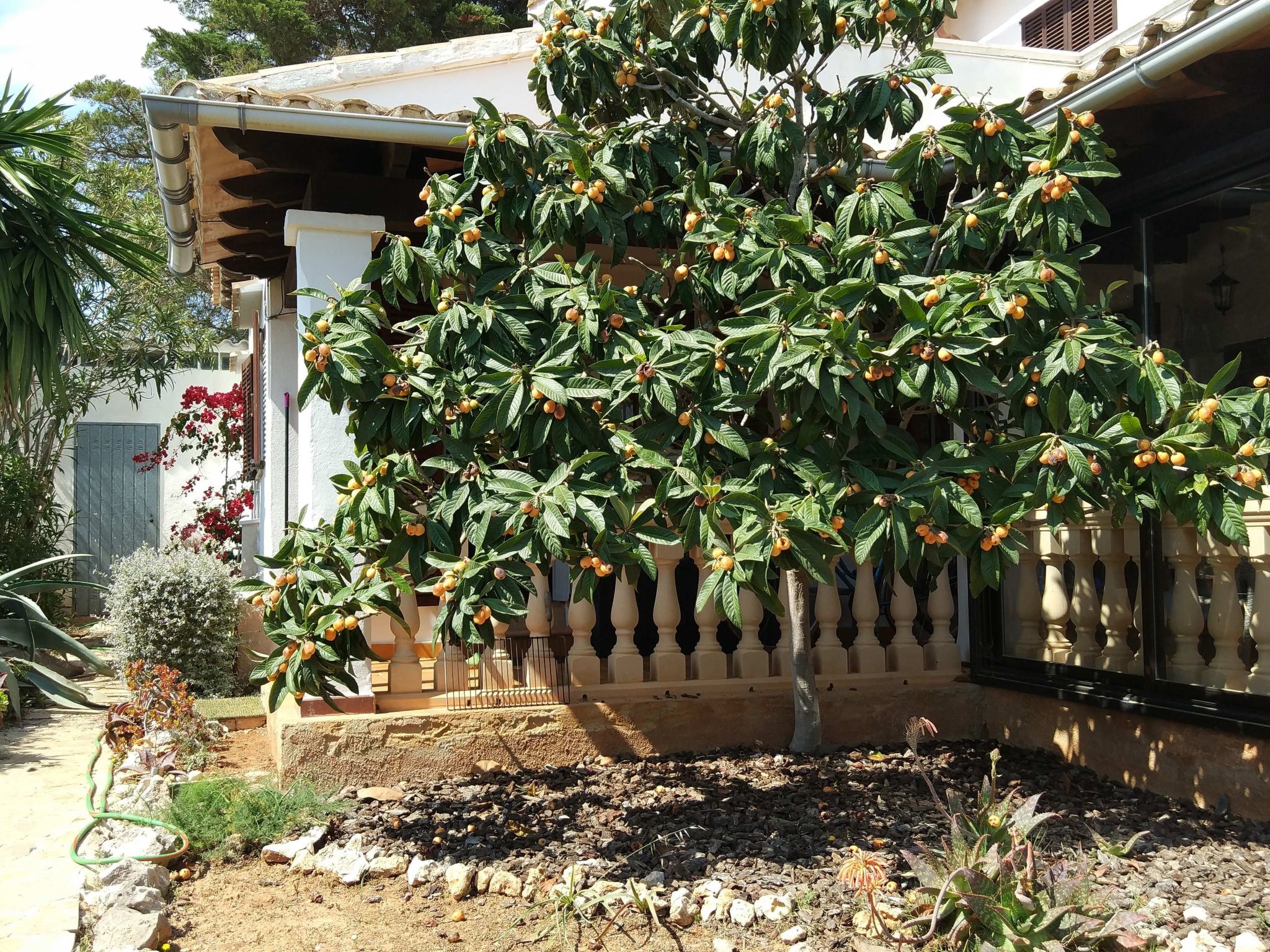 In Porto Cristo Novo mit Garten-Image-tags.info