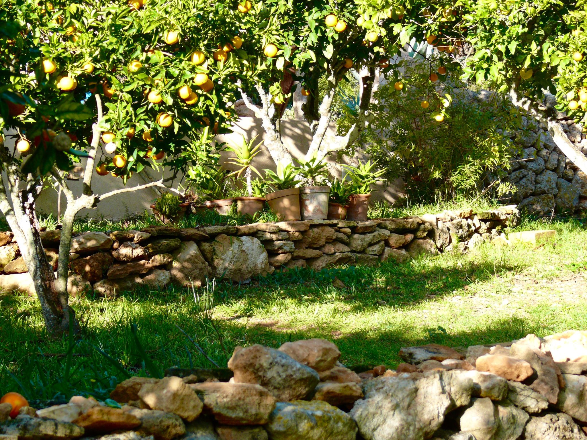 Traumhafte Naturstein-Finca in ruhiger Lage-Image-tags.info