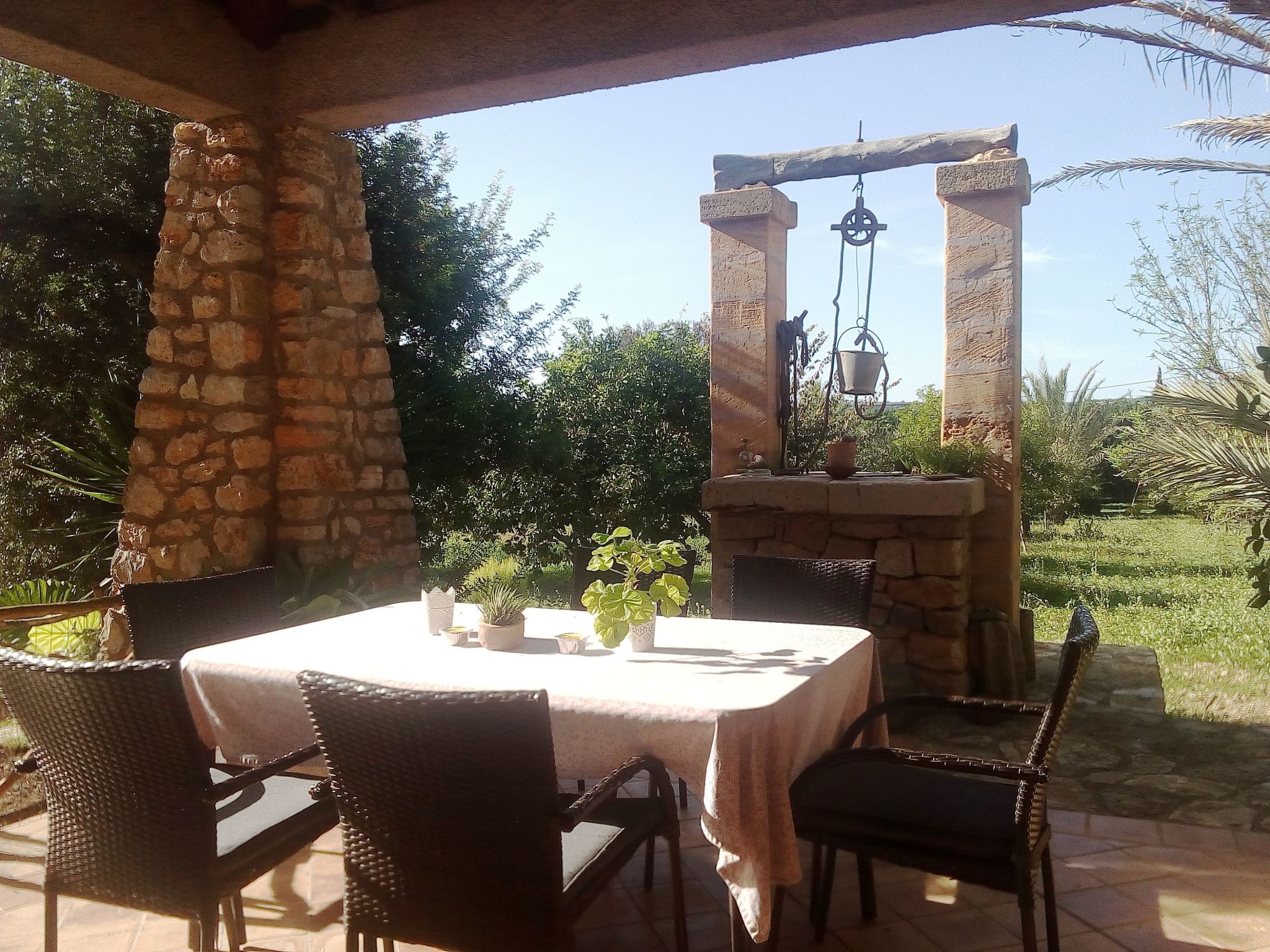 Finca Casa Alba - großer Außenbereich für Kinder-Draußen