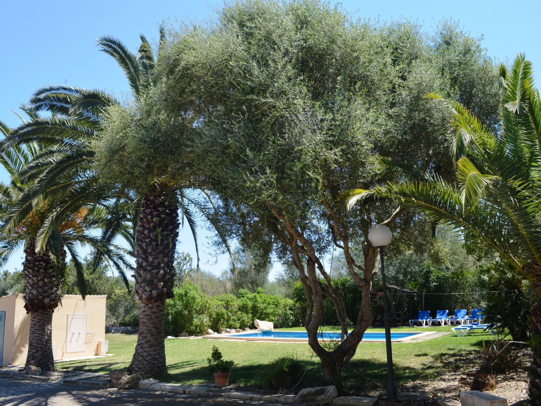 Landgut Es Garballons-Draußen