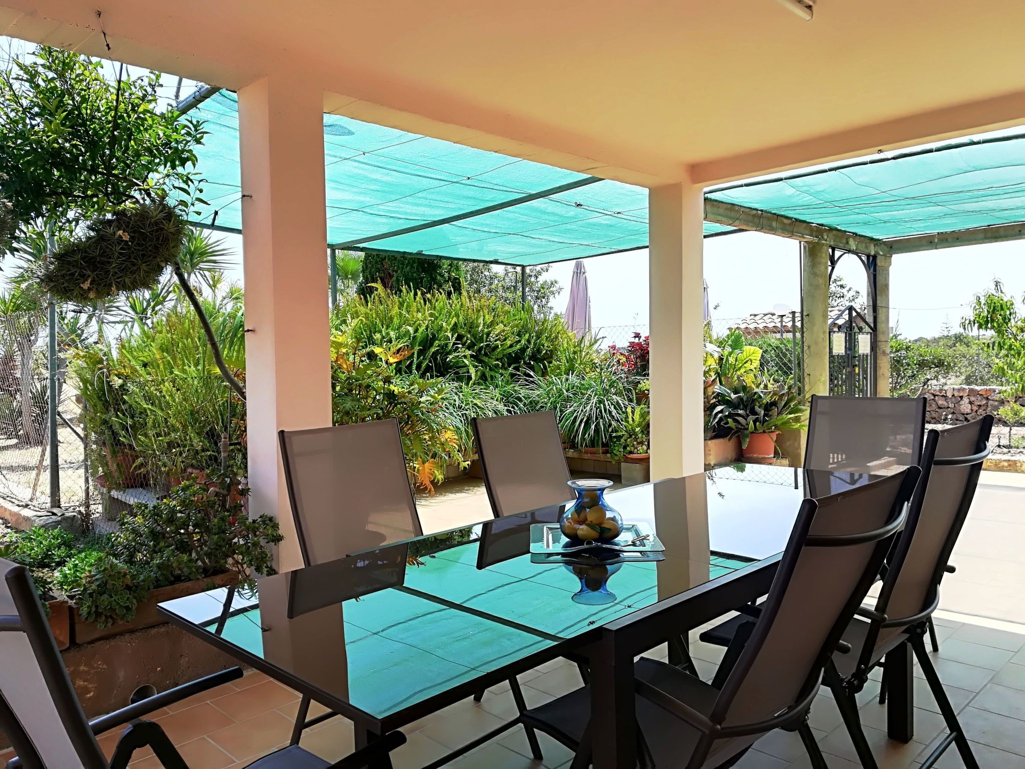 Ländlicher Bauernhof "Sa Gruta Marines"-Draußen