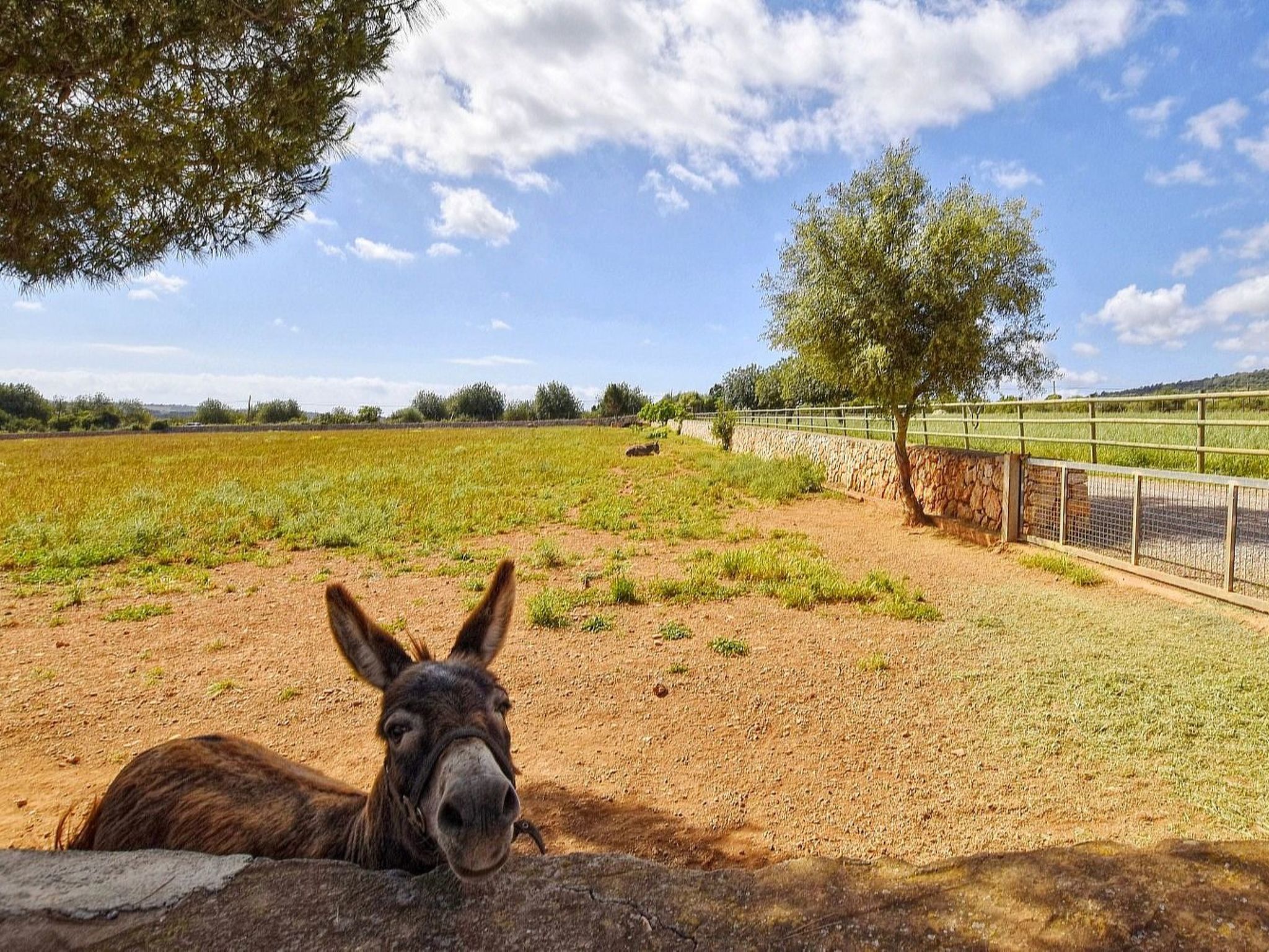Luxuriöse Finca im modernen Stil mit Pool und Klimaanlage-Image-tags.info