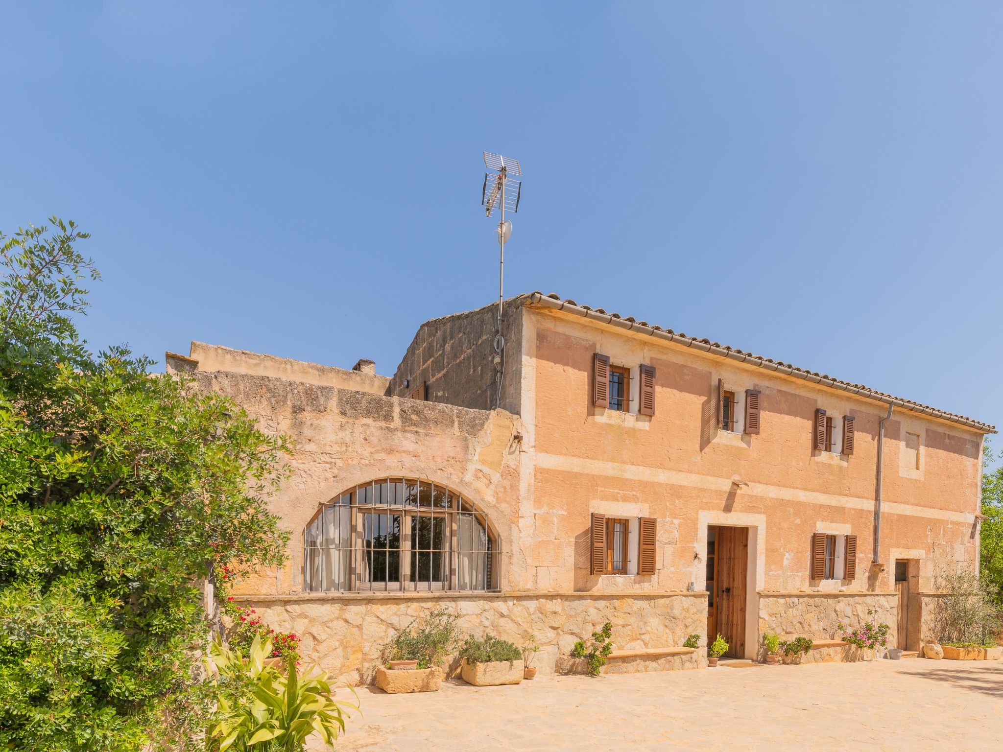 "Murtera-Image-tags.info