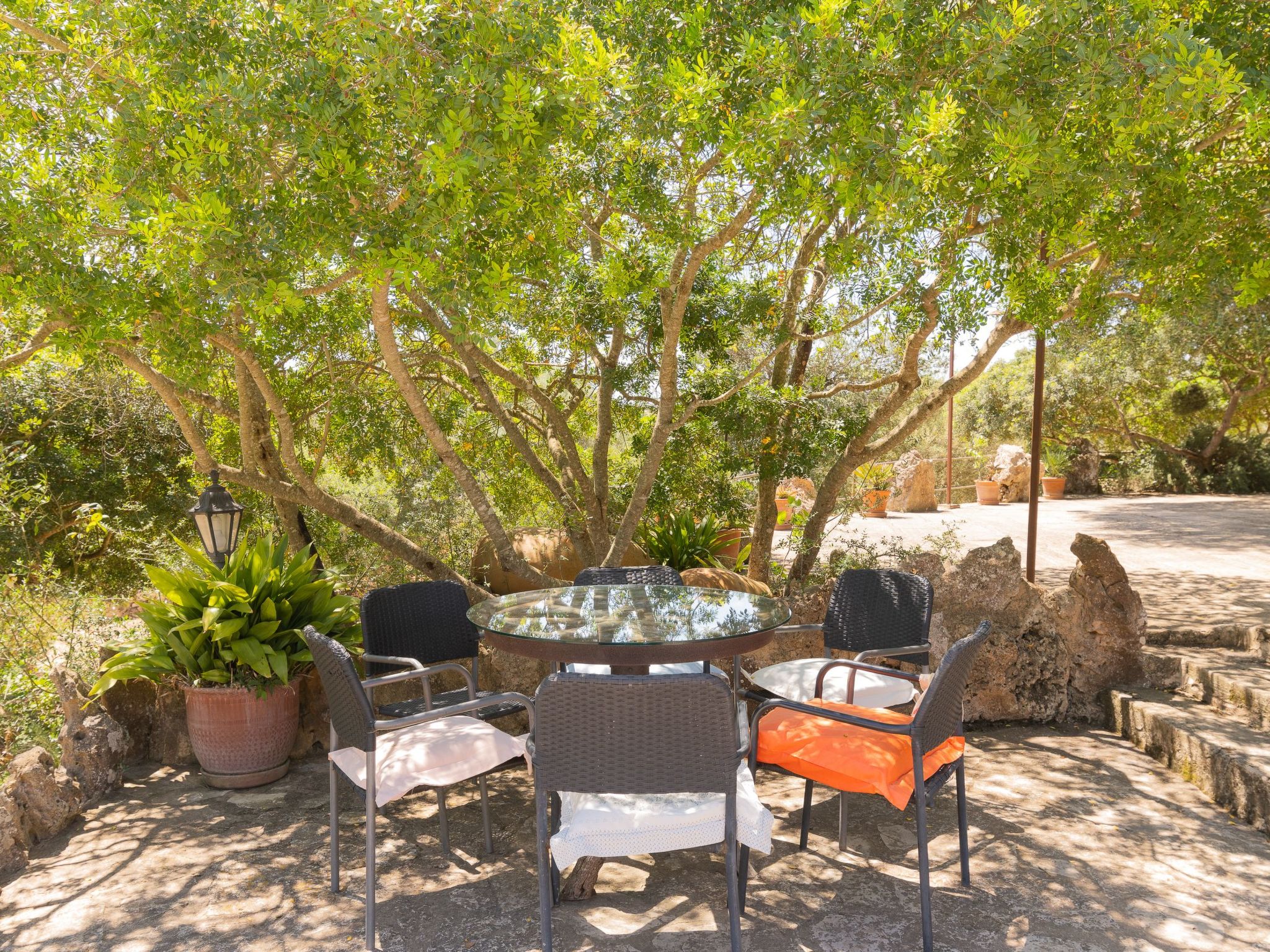 "Murtera-Image-tags.info