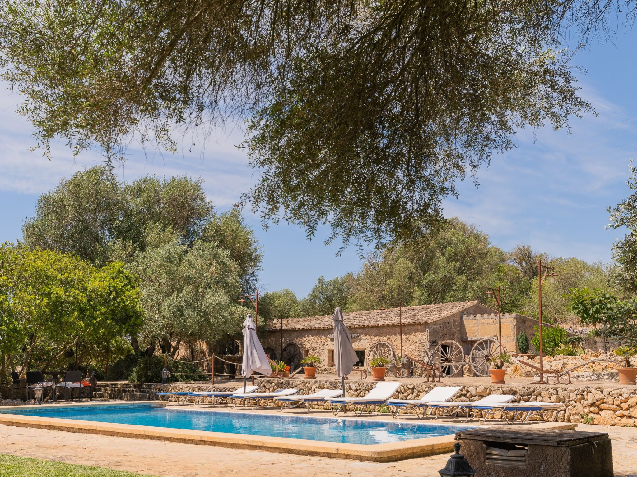 "Murtera-Image-tags.info