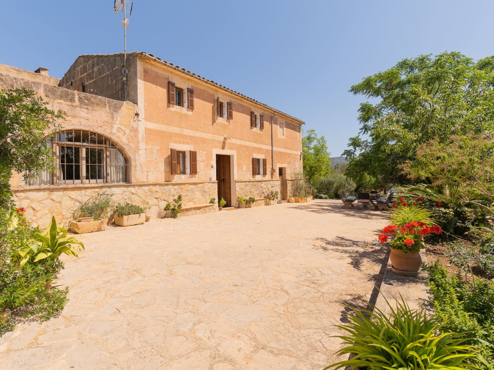 "Murtera-Image-tags.info