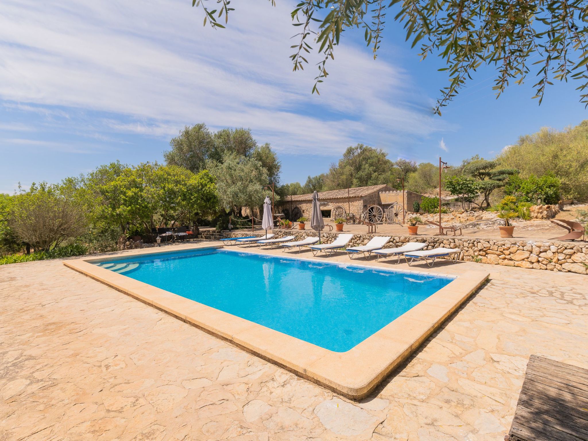 "Murtera-Image-tags.info