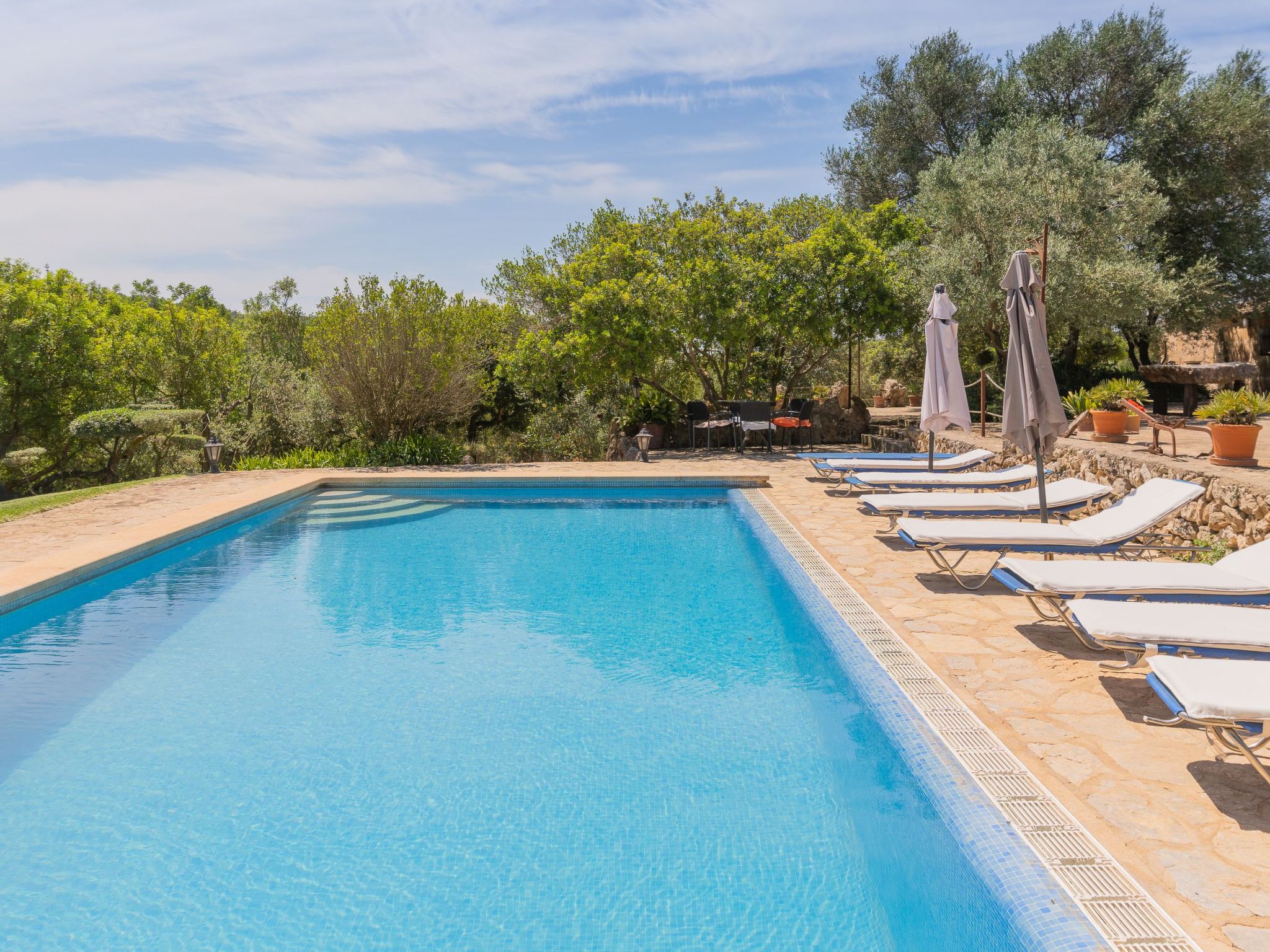 "Murtera-Image-tags.info