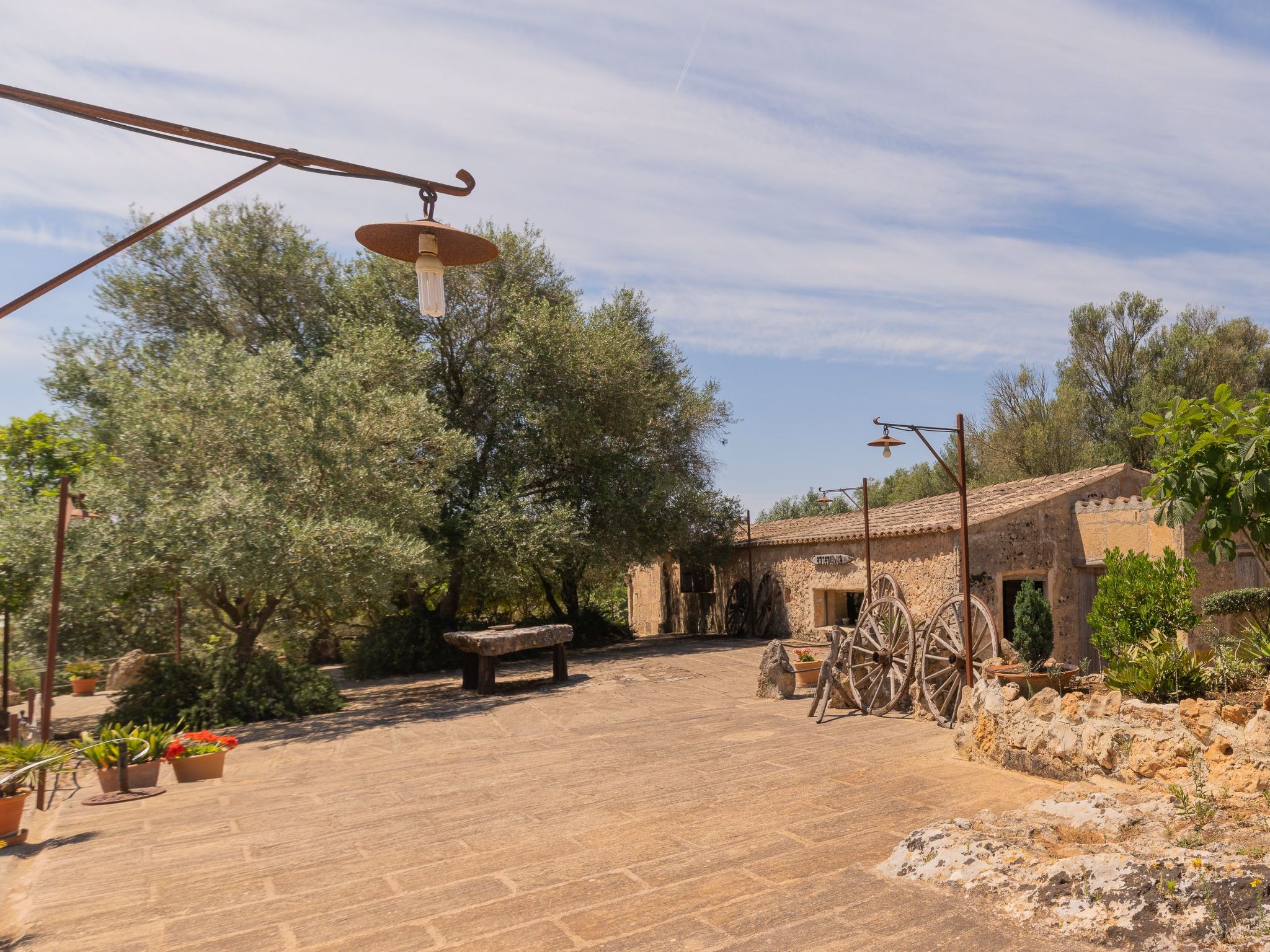 "Murtera-Image-tags.info