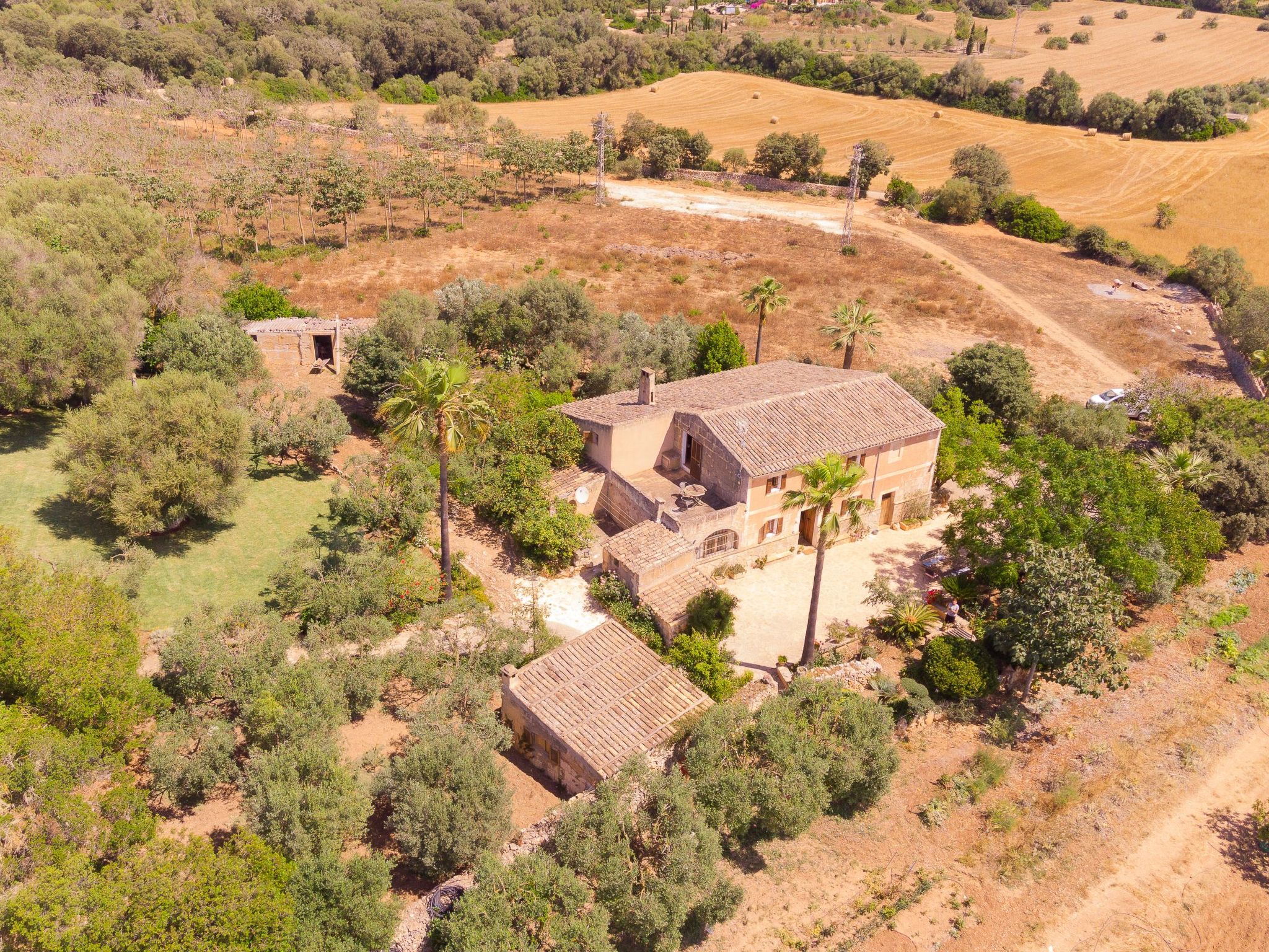 "Murtera-Image-tags.info