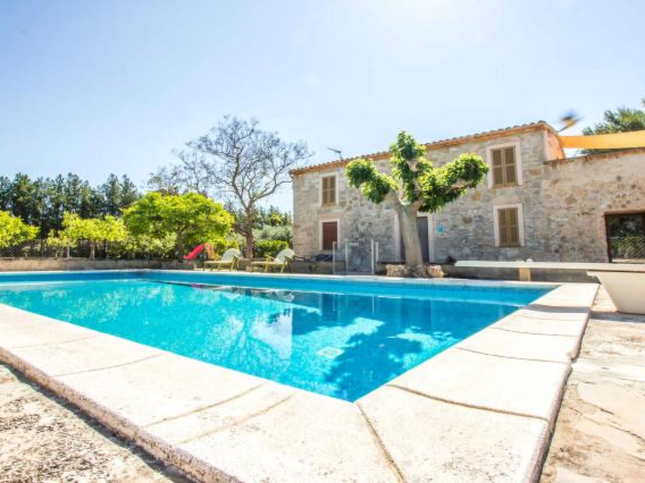 Manenta - Image-tags.info