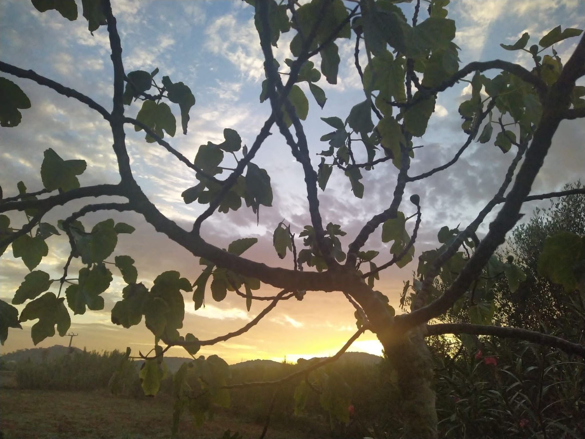 In Manacor mit Privatem Pool - Image-tags.info