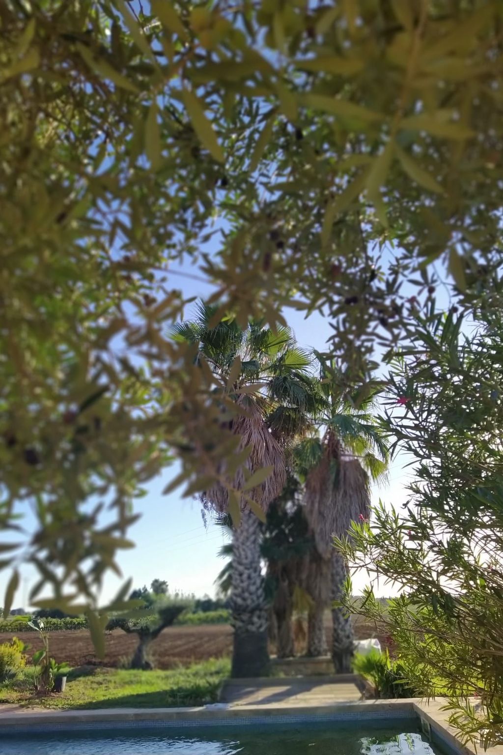 In Manacor mit Privatem Pool - Image-tags.info