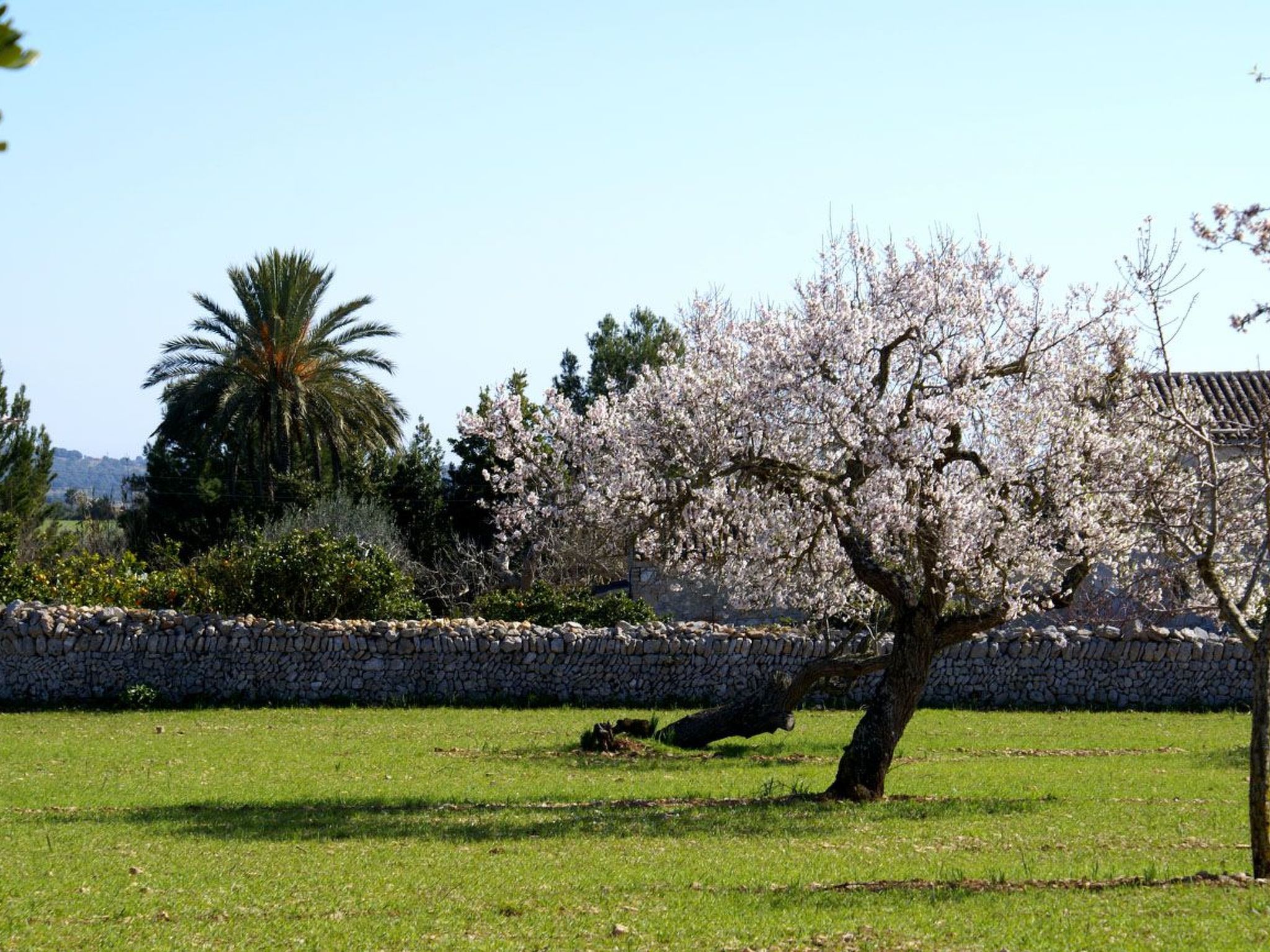 Finca "Son Pereto" mit privatem Pool - Image-tags.info