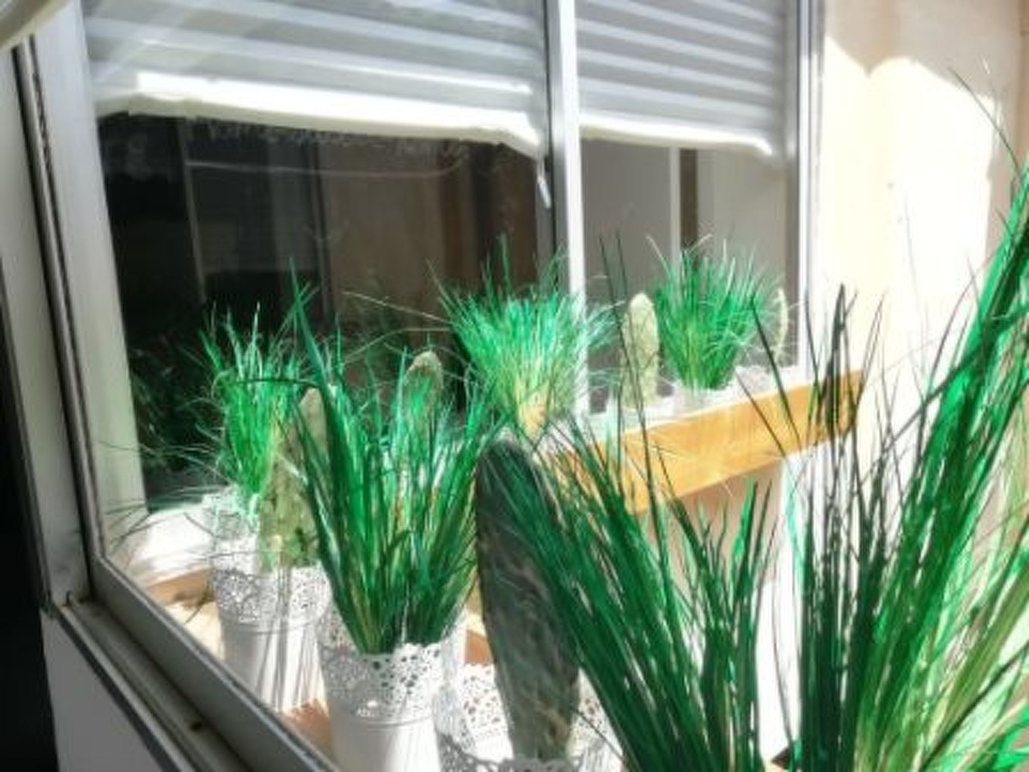 Touristenwohnung "Pins" mit Terrasse-Image-tags.info