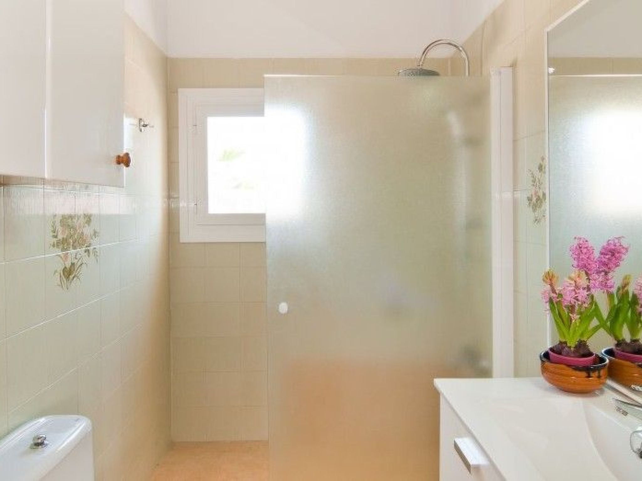 Amer I - Amer II-Image-tags.info