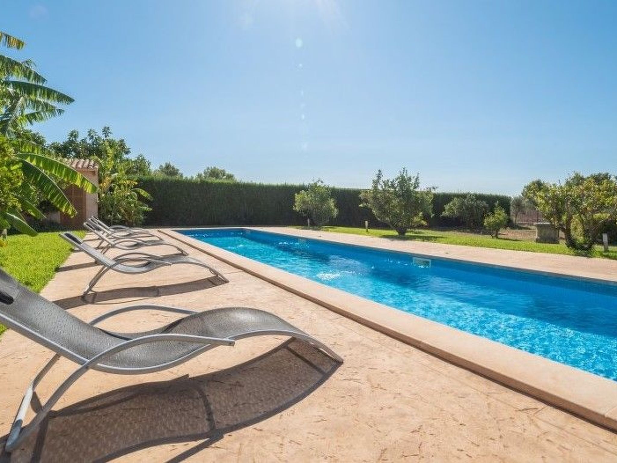 Amer I - Amer II-Image-tags.info