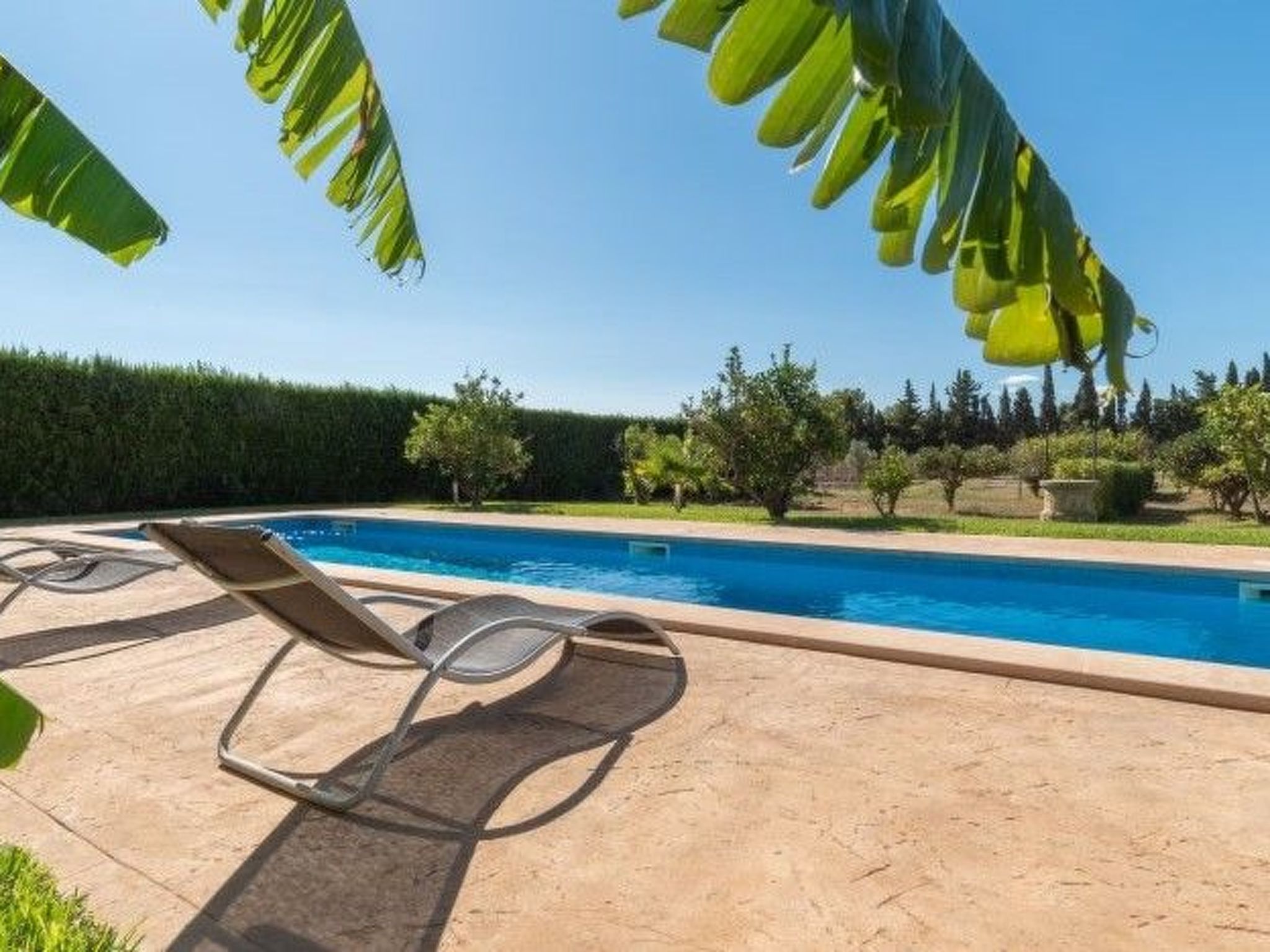 Amer I - Amer II-Image-tags.info