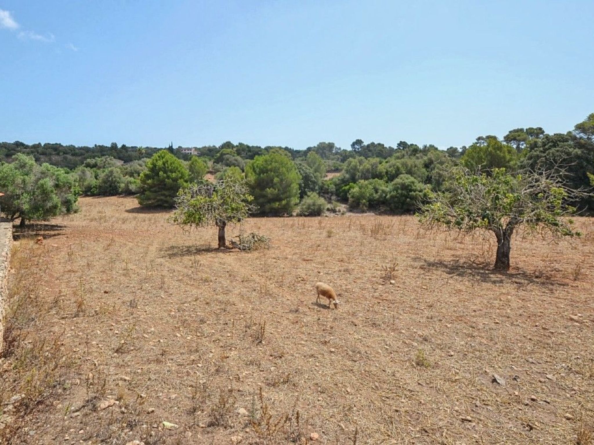 Landhaus mit Pool in der Nähe von Porto Cristo-Binnen