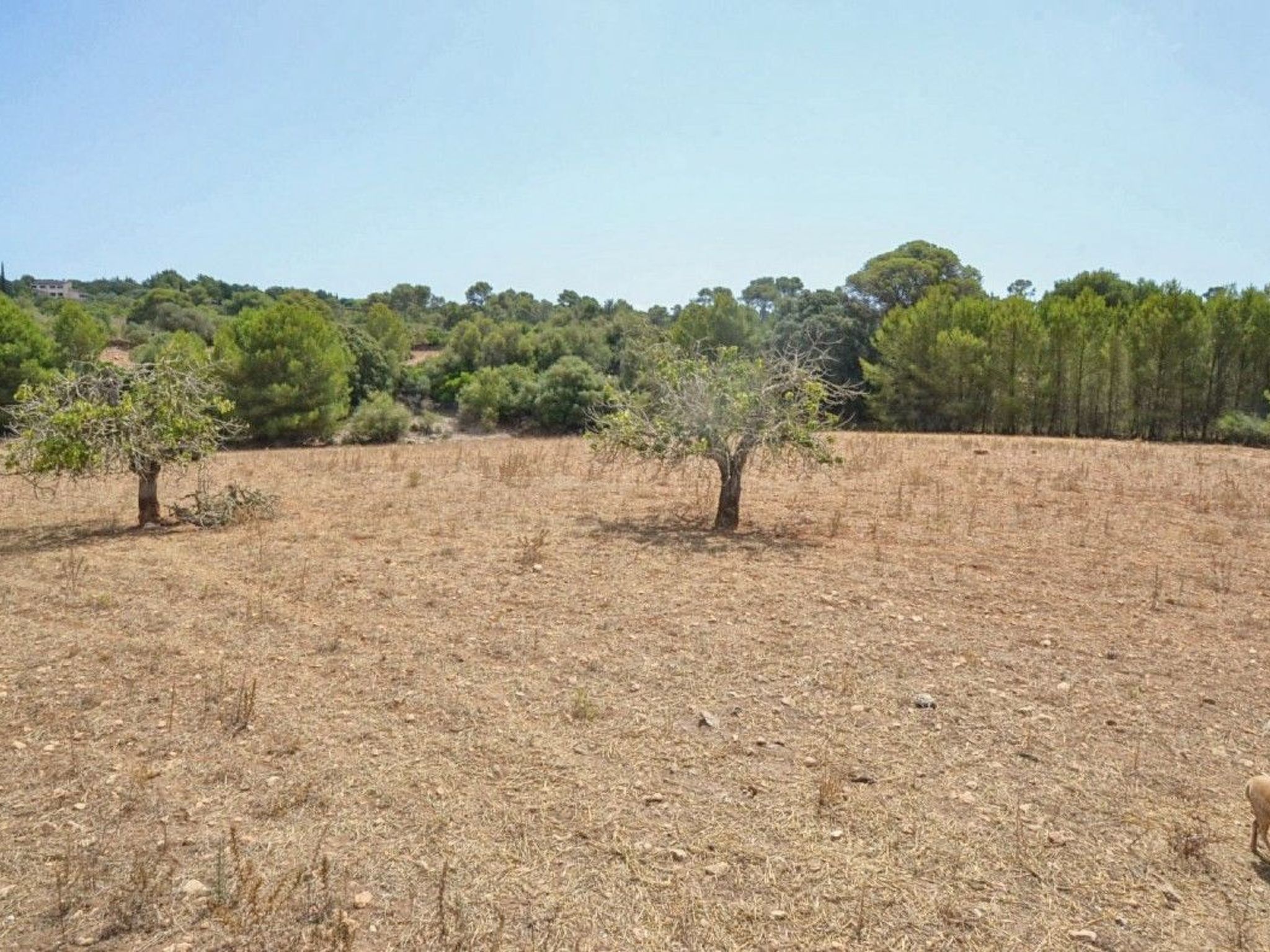 Landhaus mit Pool in der Nähe von Porto Cristo-Binnen