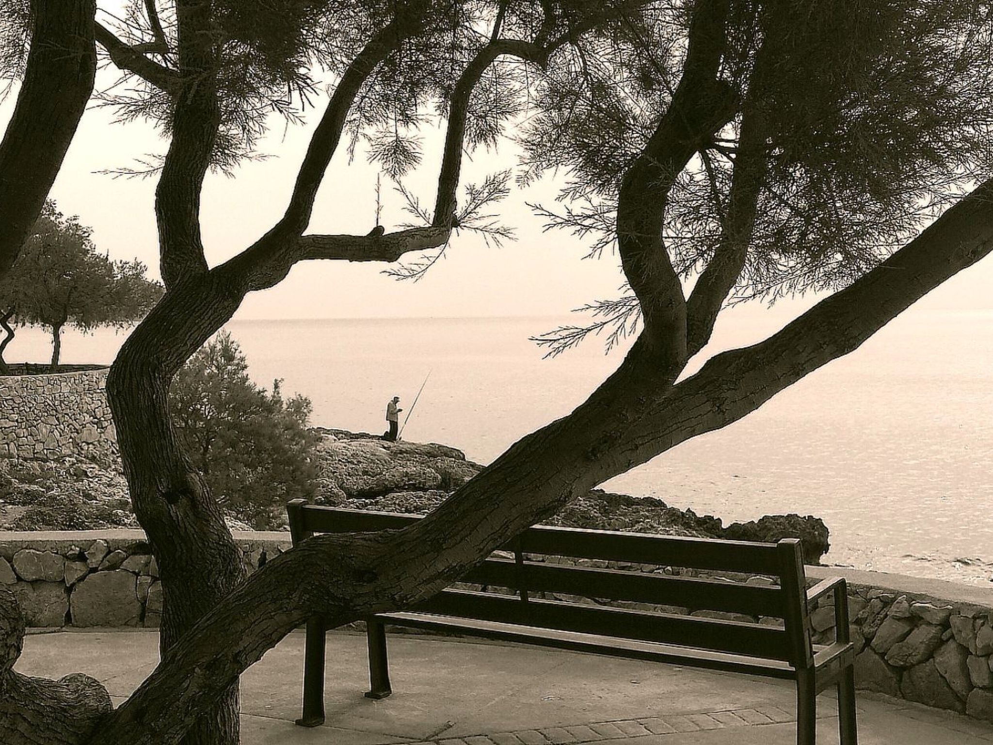 Photo of Wohnung in Cala Millor Los Rosales