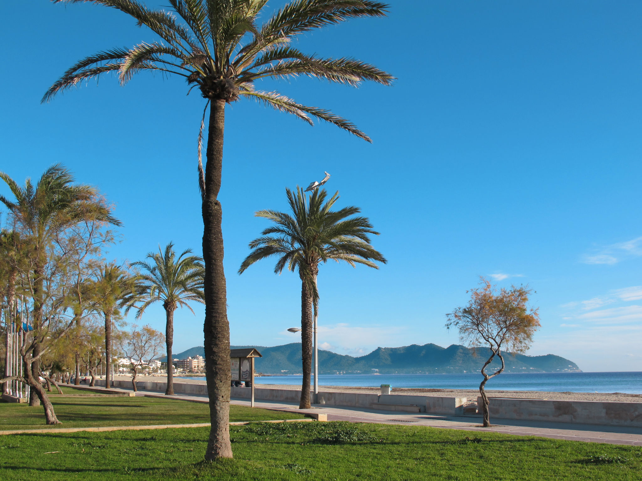 Photo of Wohnung in Cala Millor Los Rosales