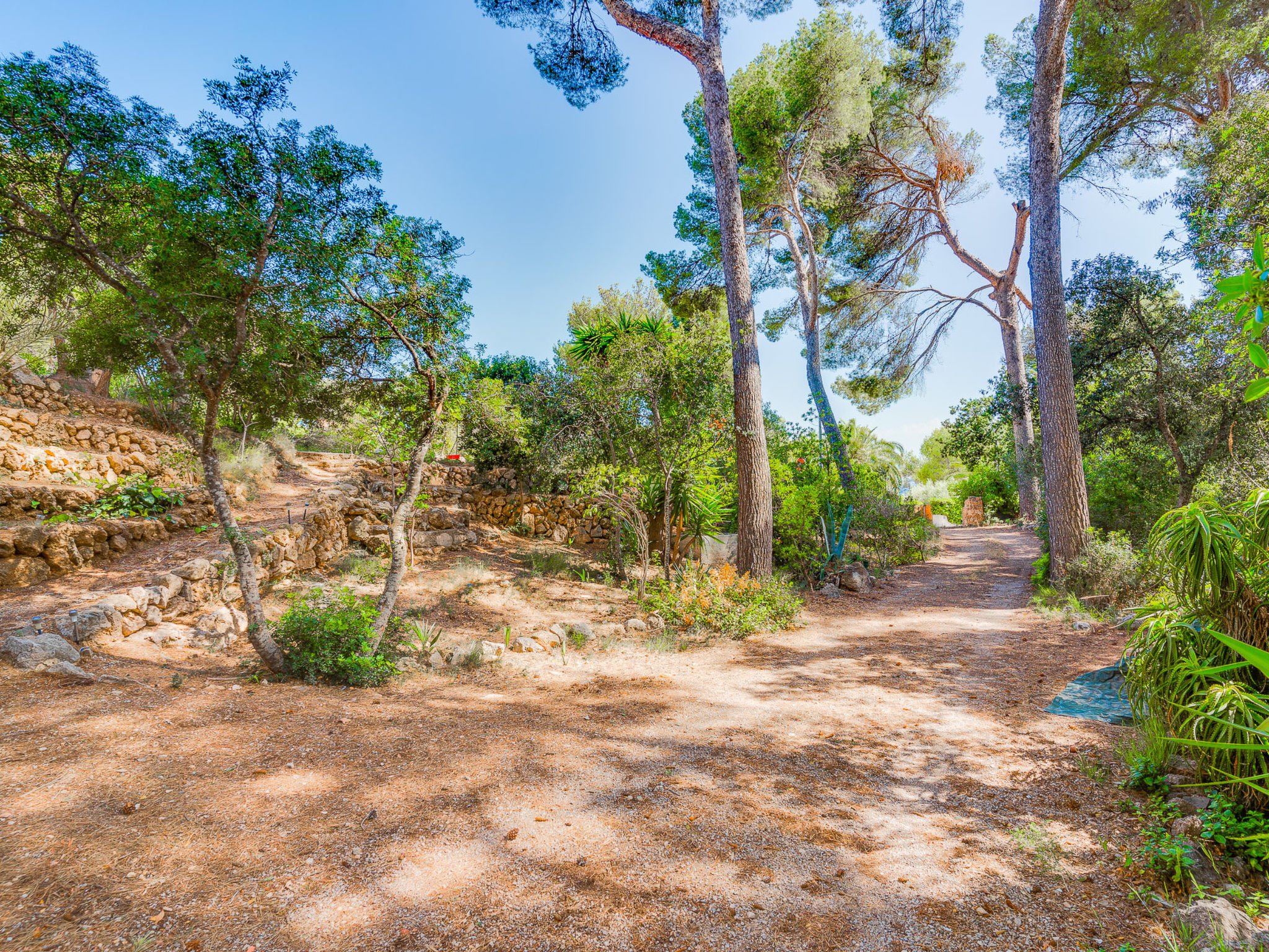 Photo of SES ALZINES APARTMENT