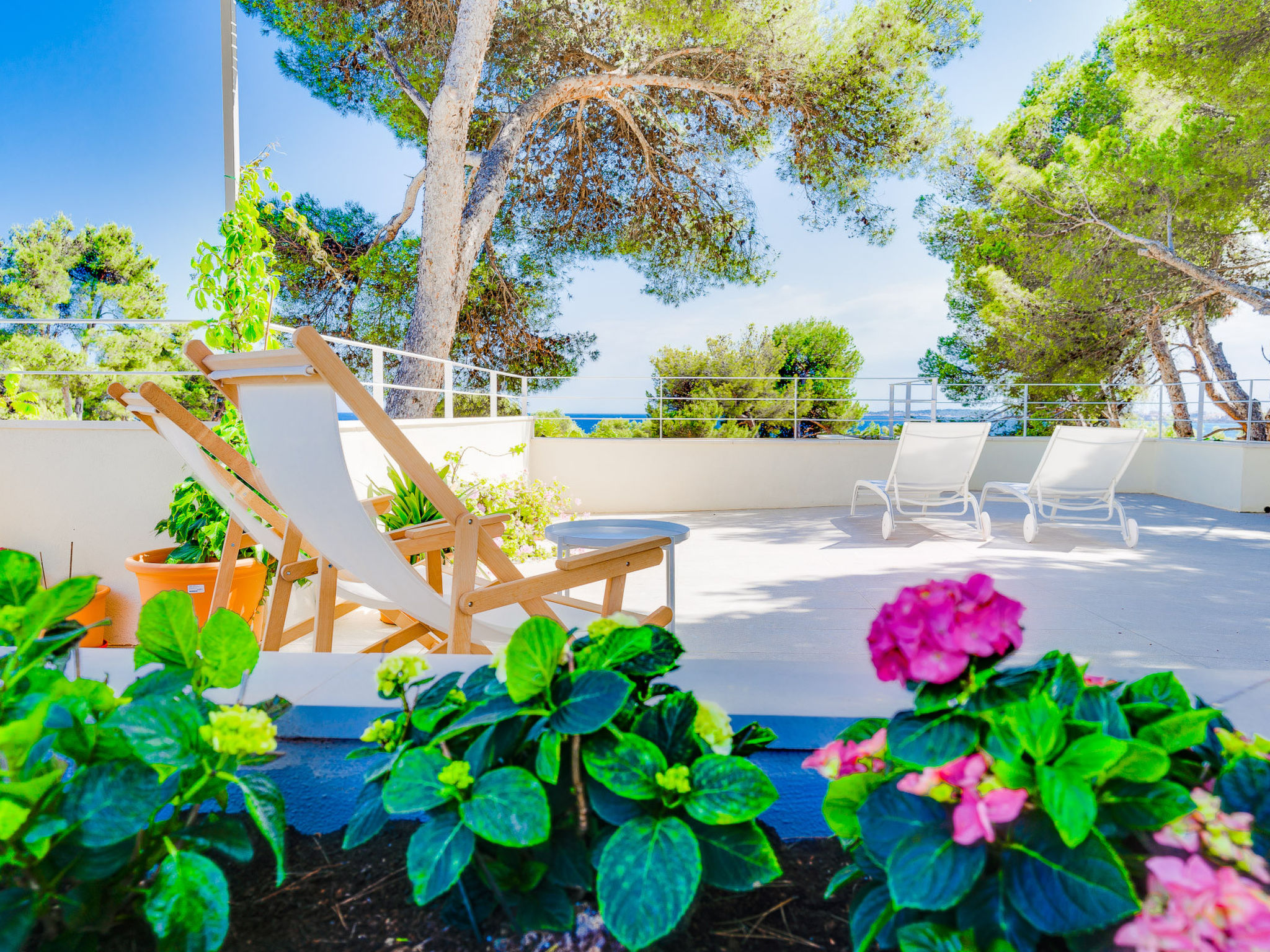 Photo of SES ALZINES APARTMENT